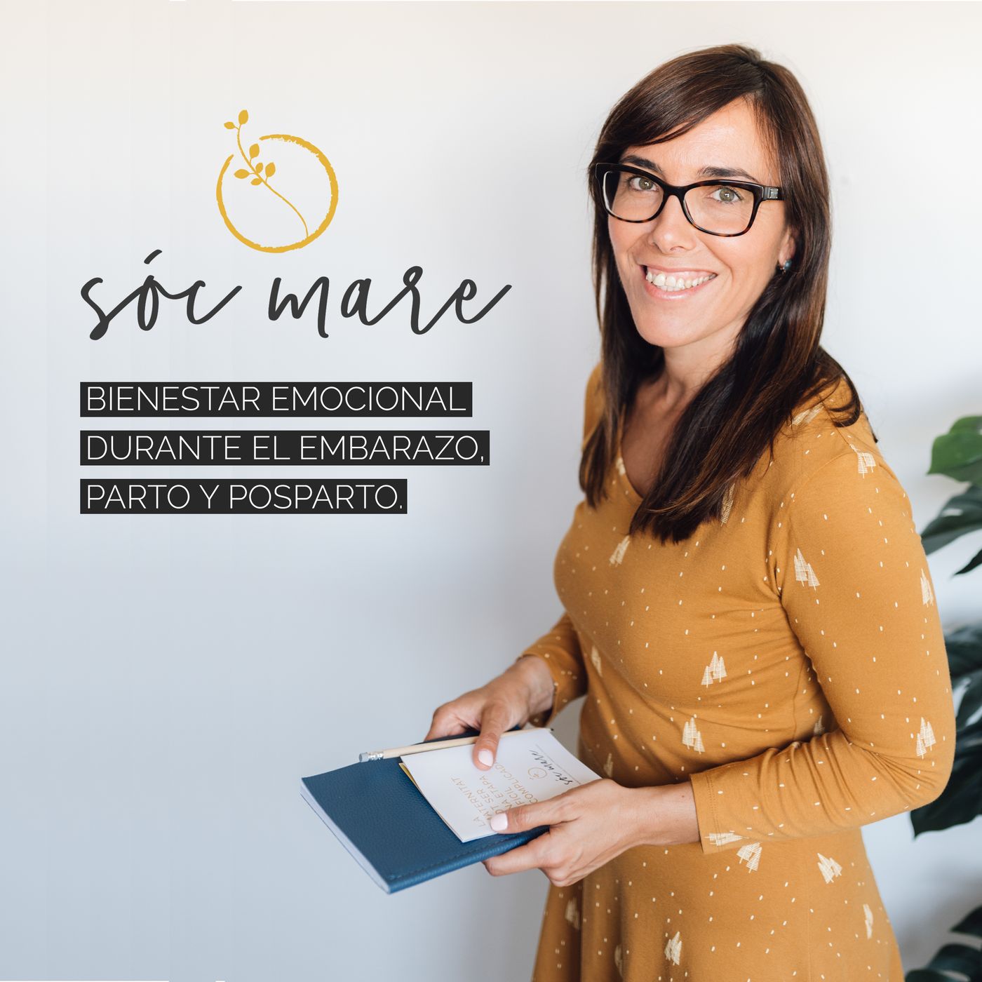 Bienestar emocional en embarazo/posparto