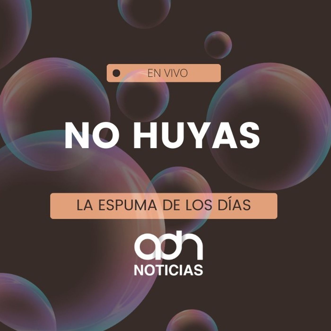 Habitar el caos o seguir huyendo