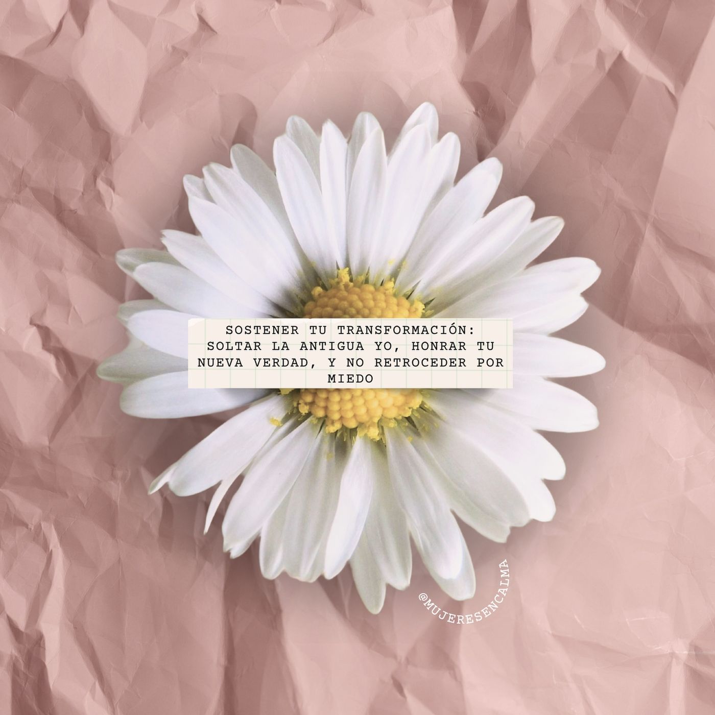 220 - Sostener tu transformación: soltar la antigua yo, honrar tu nueva verdad, y no retroceder por miedo