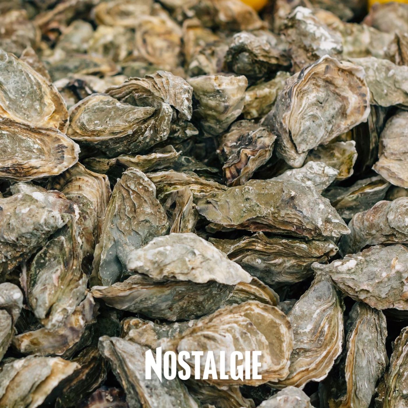 Recyclage : connaissez-vous la laine de mer, des huitres transformées en tissu ? episode artwork