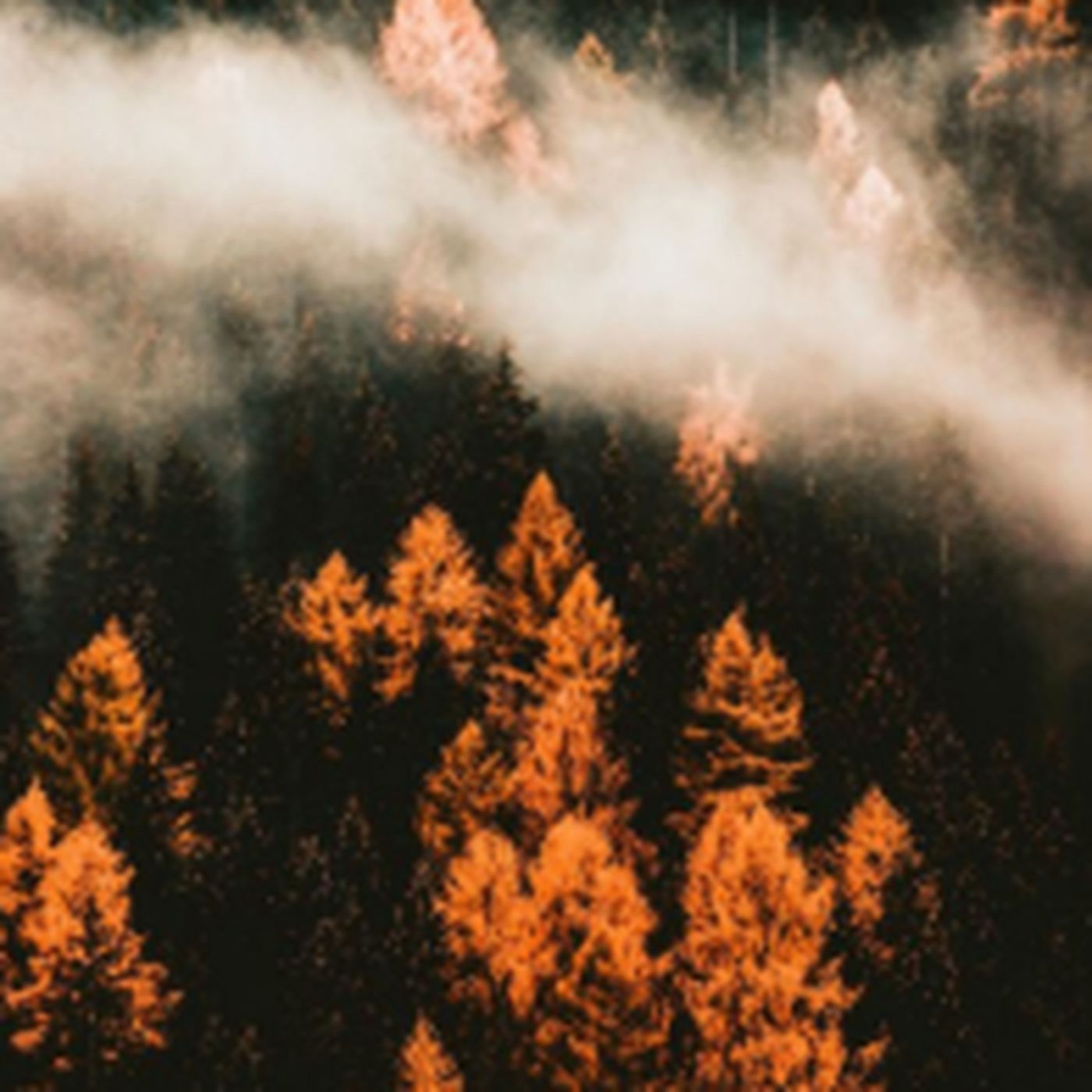 Current Live Forest Wildfire & Smoke Map Today Montana – Where Are Fires Burning Right Now?