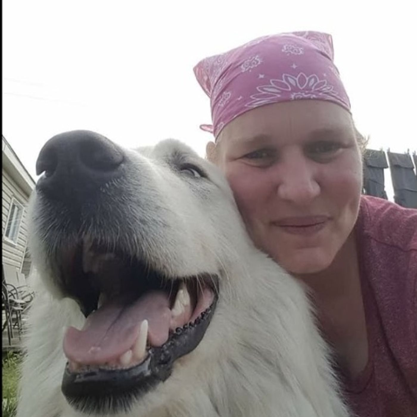 PTSD Buddies