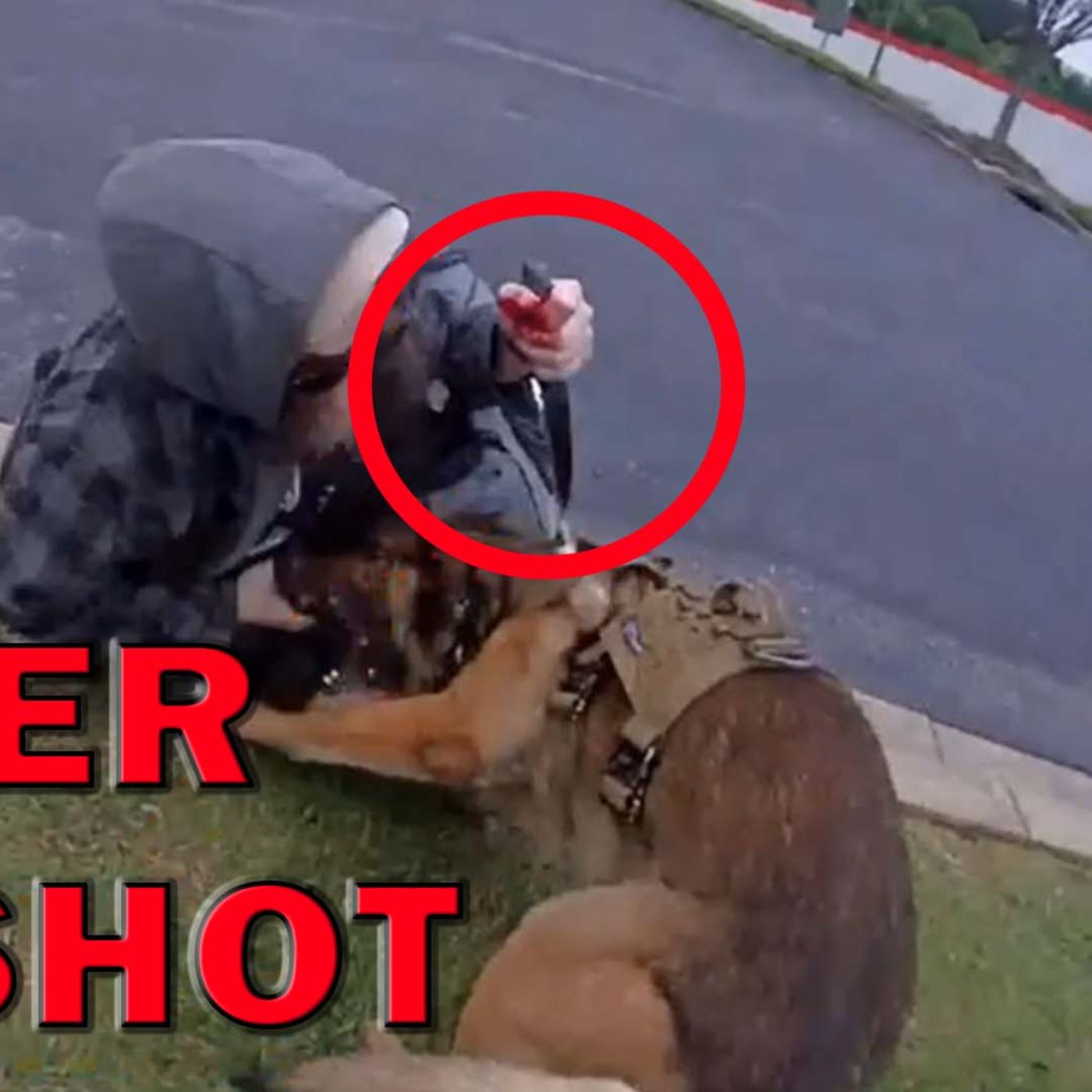 K-9 Survives After Brutal Stabbing By Violent Suspect On Video! LEO Round Table S09E130 episode artwork