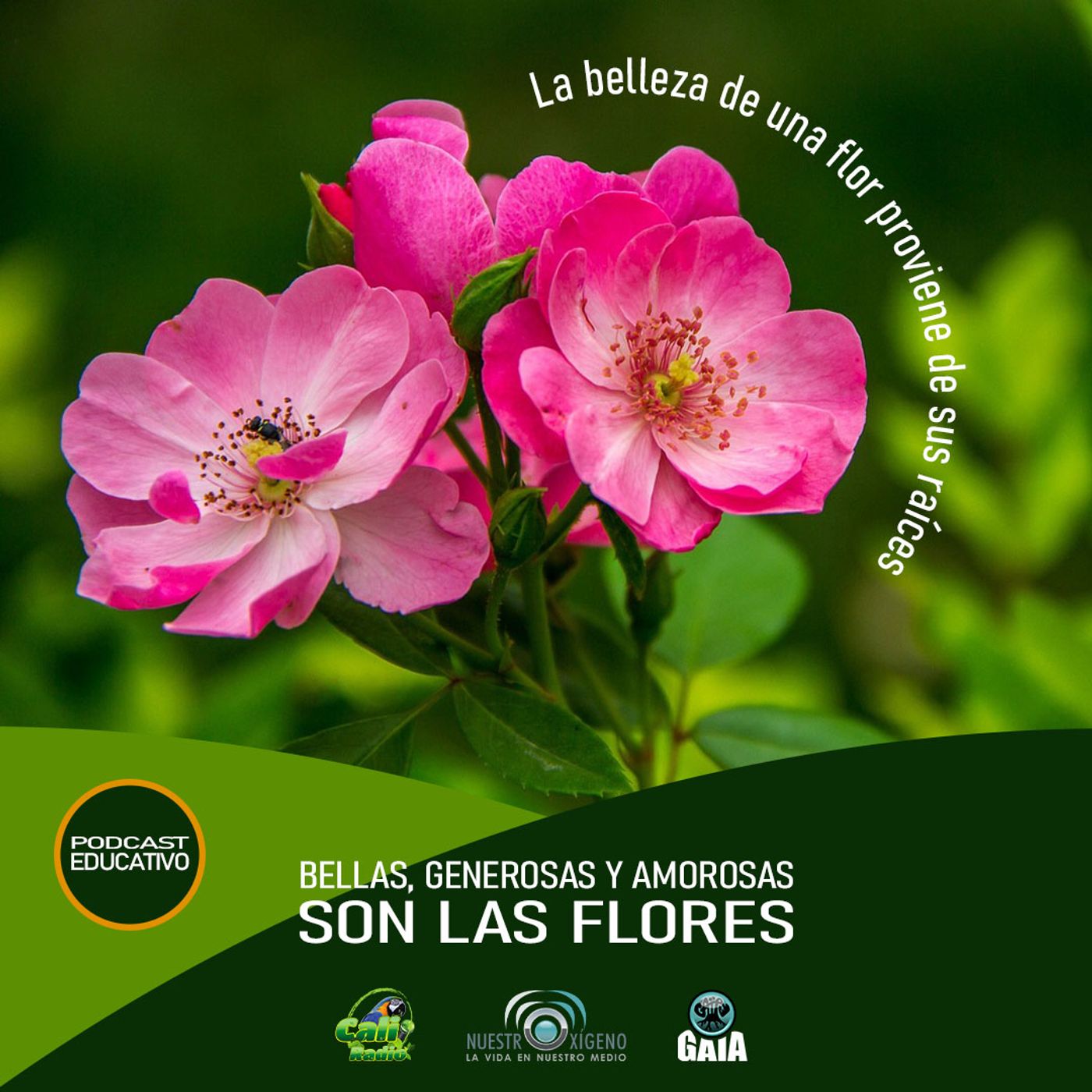 2024 Nuestro Oxigeno 01- Enero