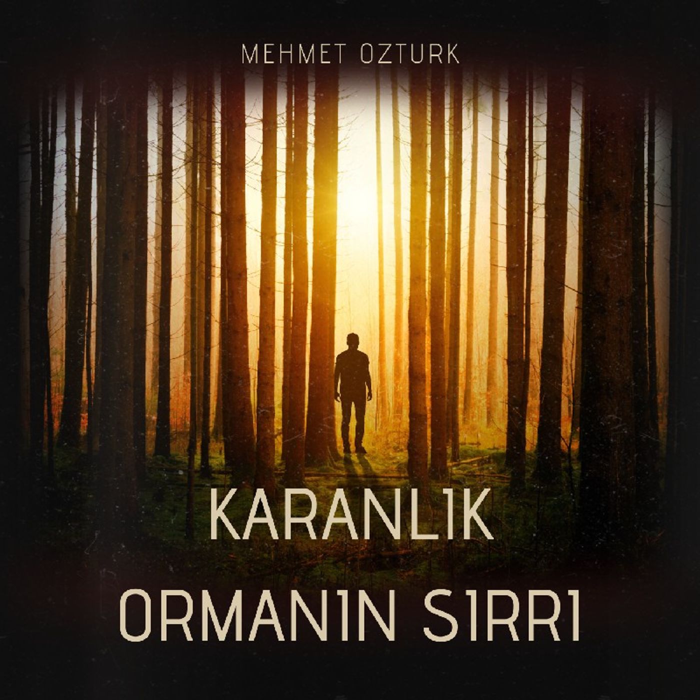 Karanlık ormanın sırrı