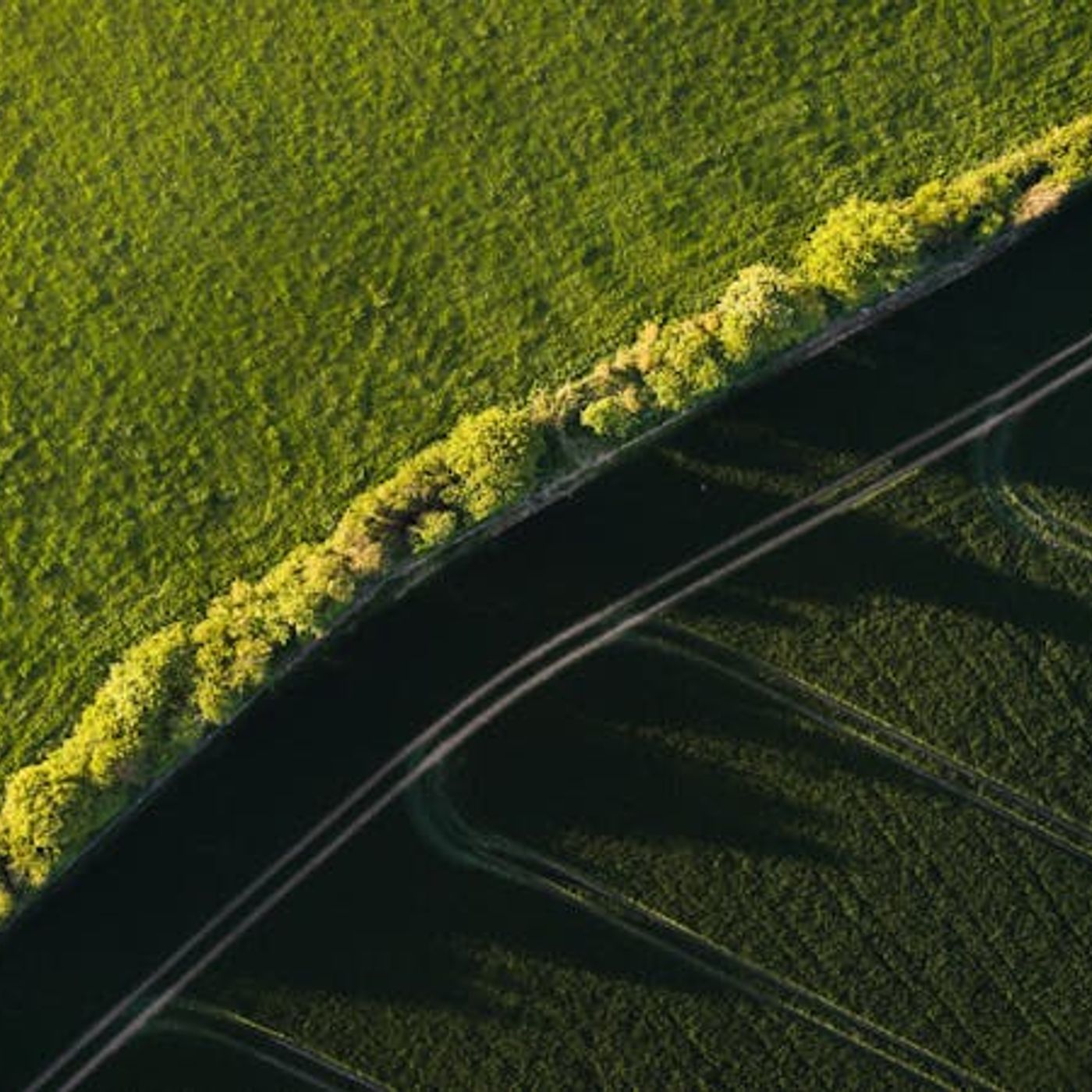 What Makes Christian Love Different?