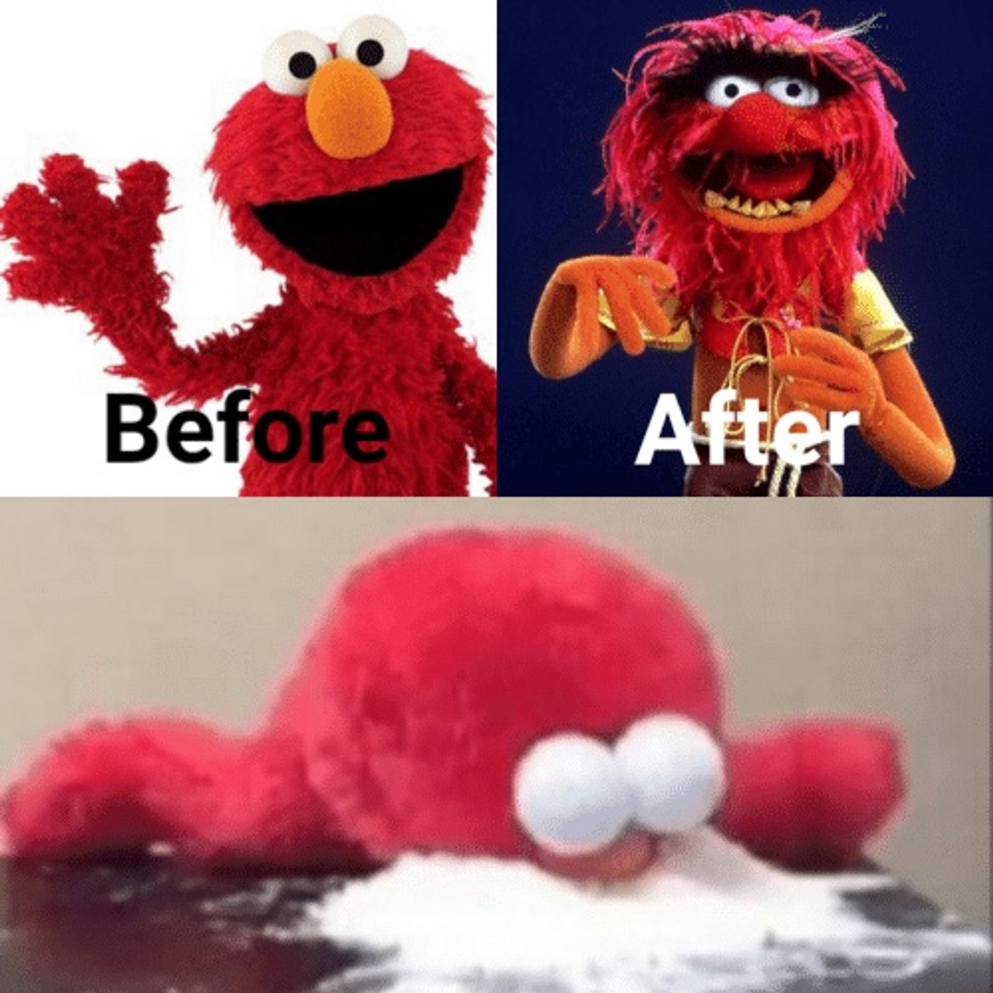 Woof Dog V Elmo : Elmo Has Manhood Taken, repeatedly episode artwork