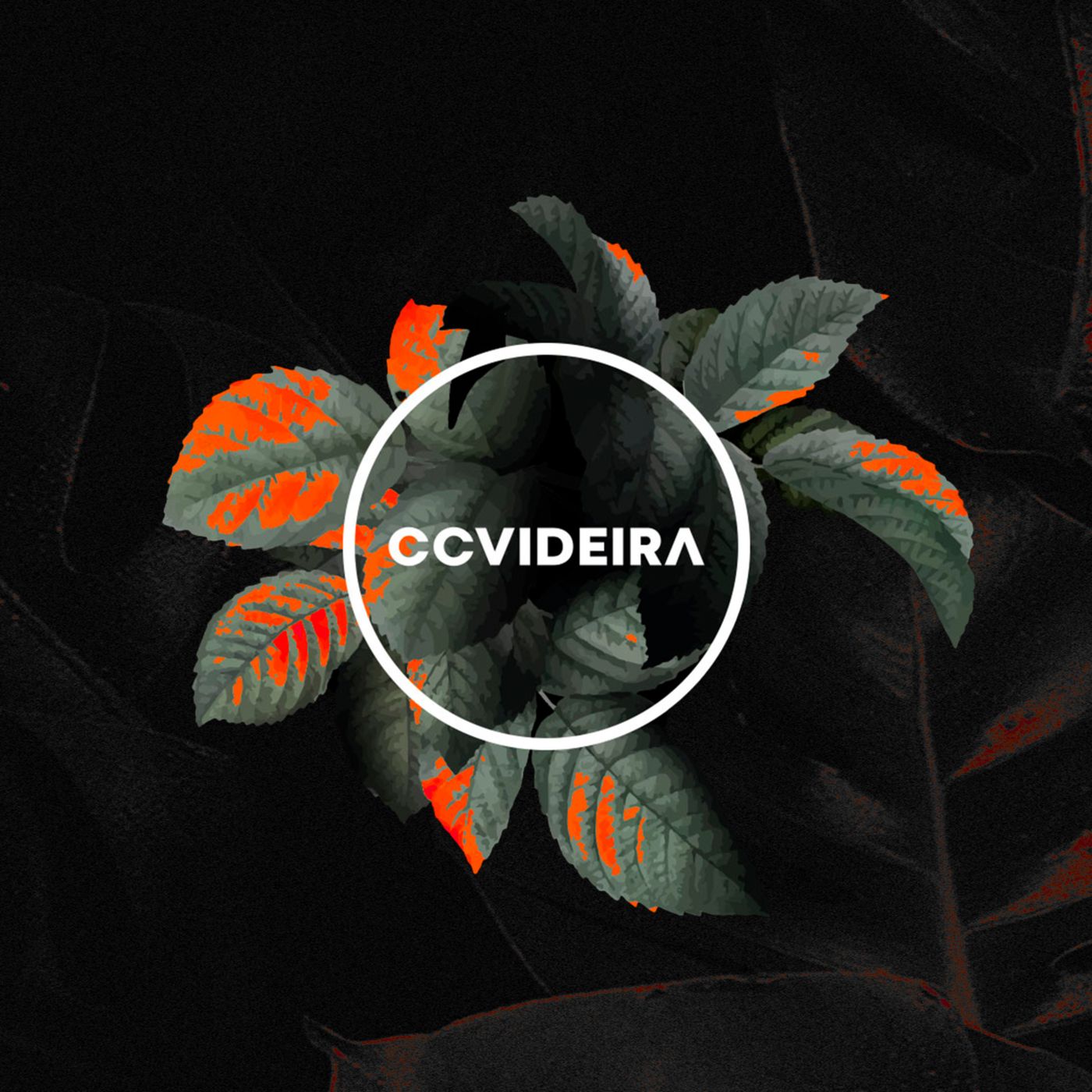 CCVIDEIRA CAPIM MACIO