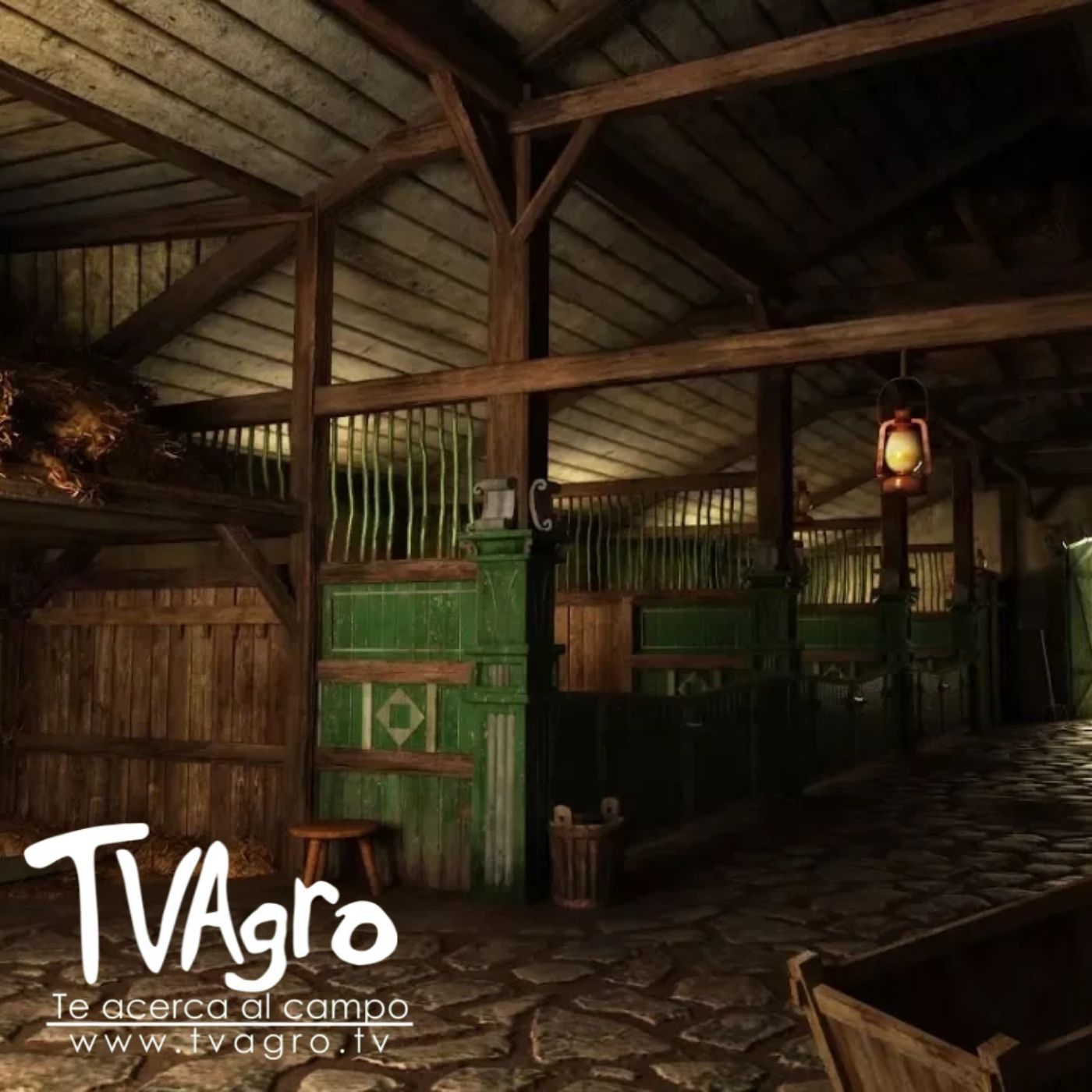 TV AGRO