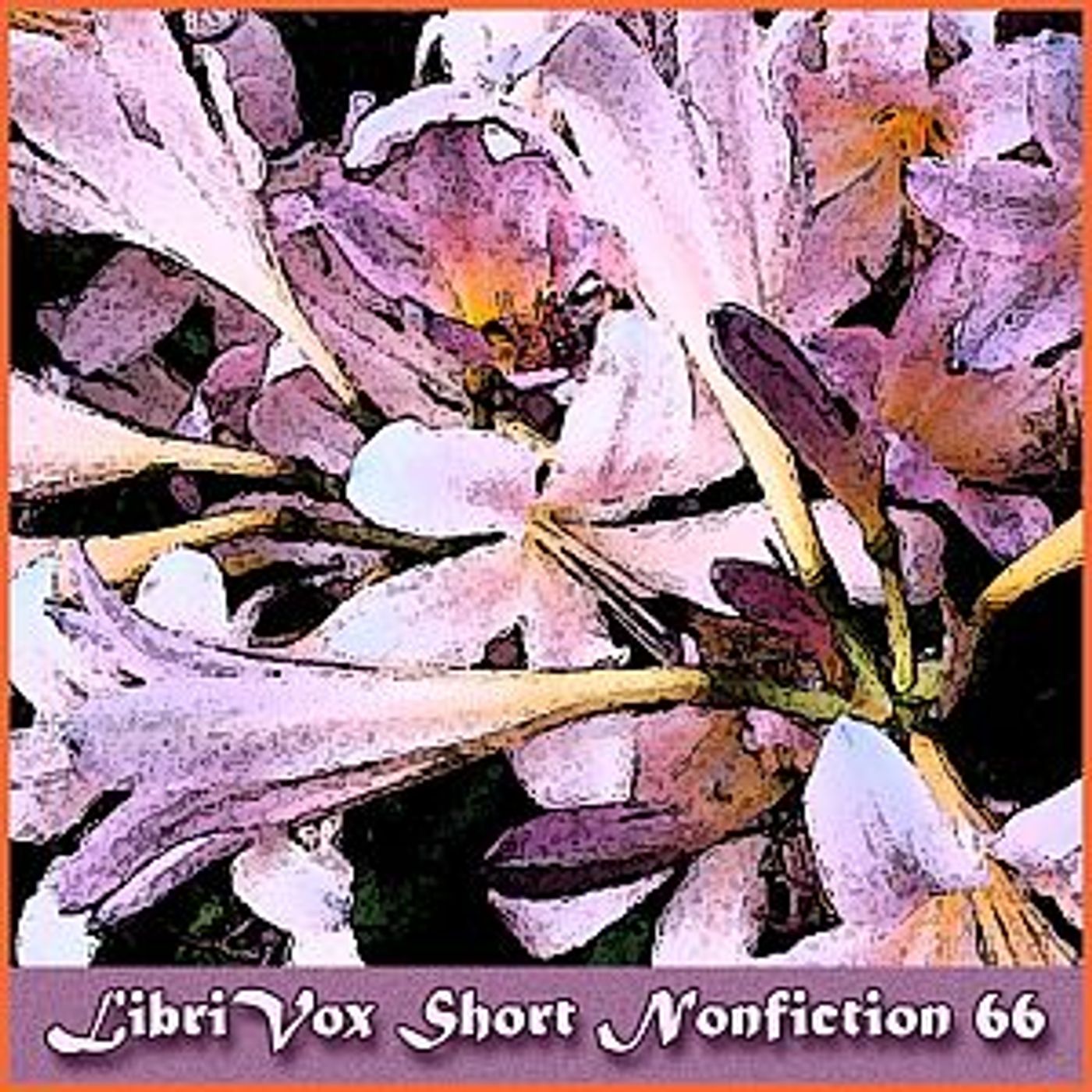Short Nonfiction Collection, Vol. 066 by Various podcast artwork