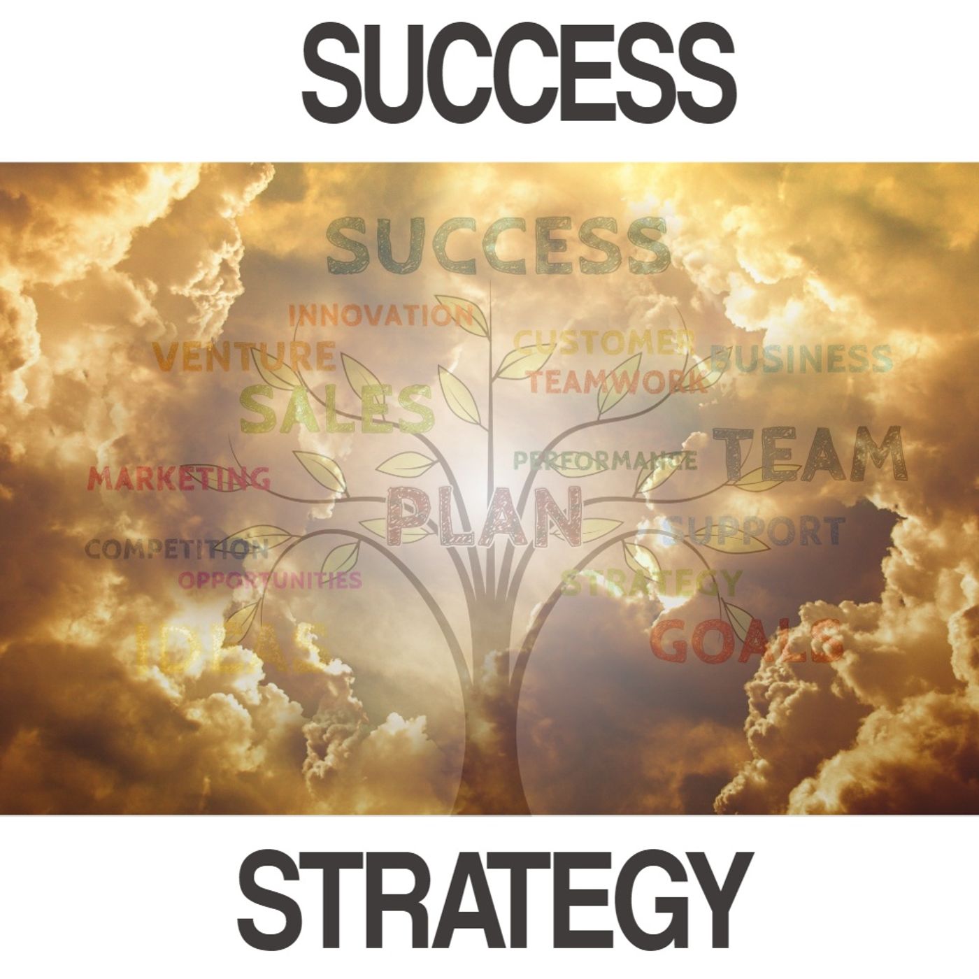 Successful Strategies