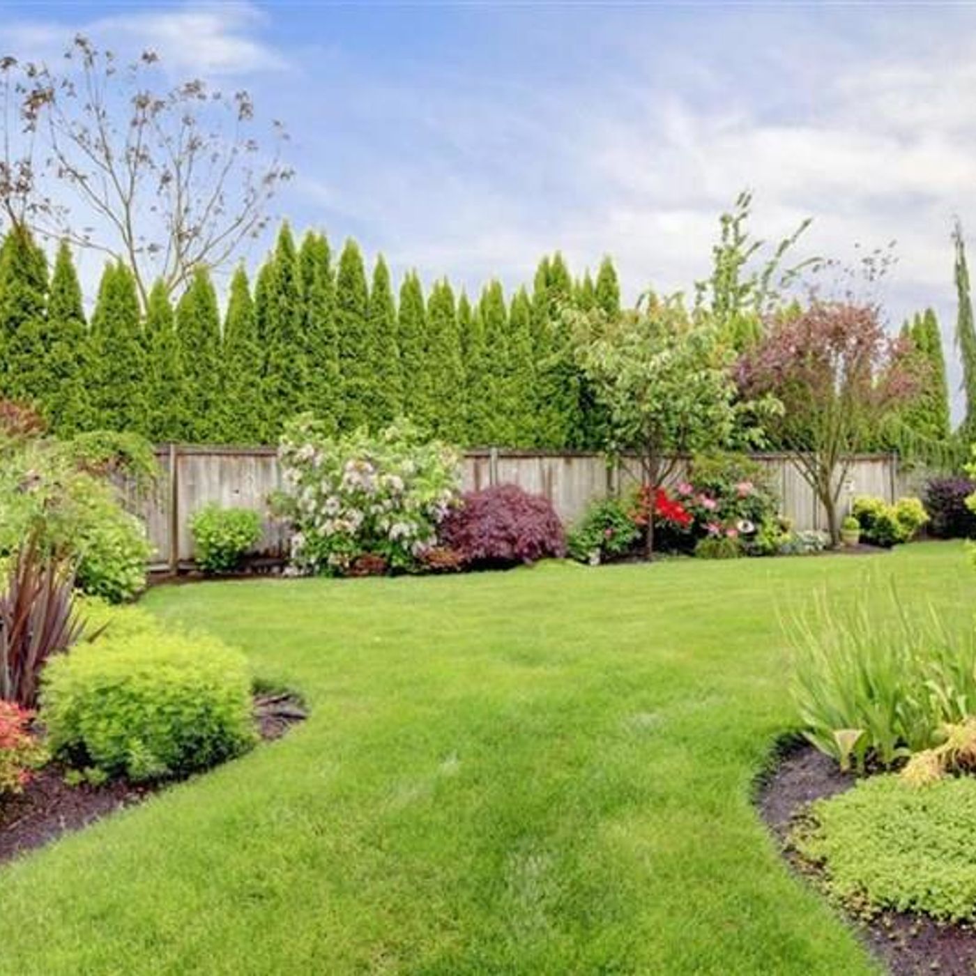 Adelaide Landscaping Insights