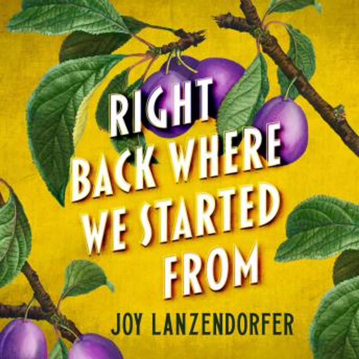 Download Top Full Audiobooks in Fiction, Contemporary Women