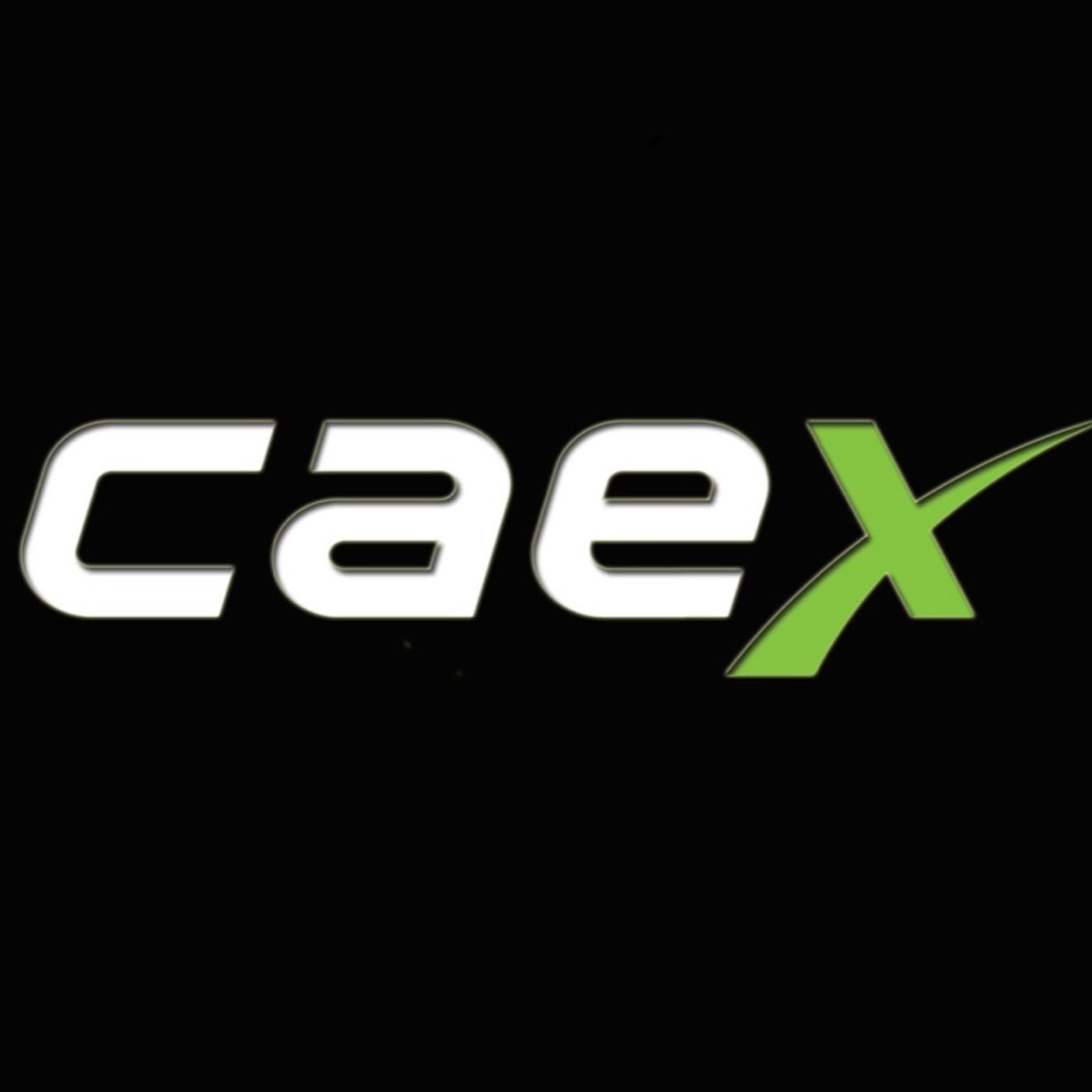 Caex - Consultoria & Educação.