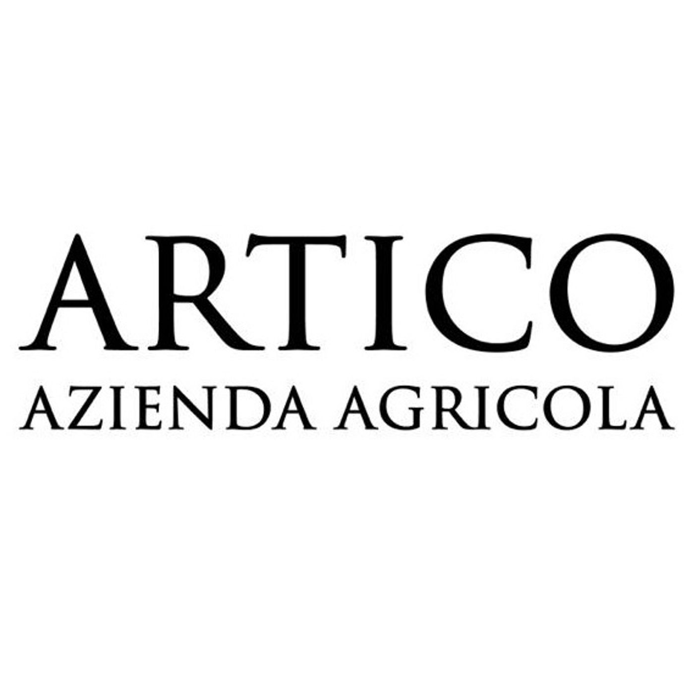 Artico - Federico Artico