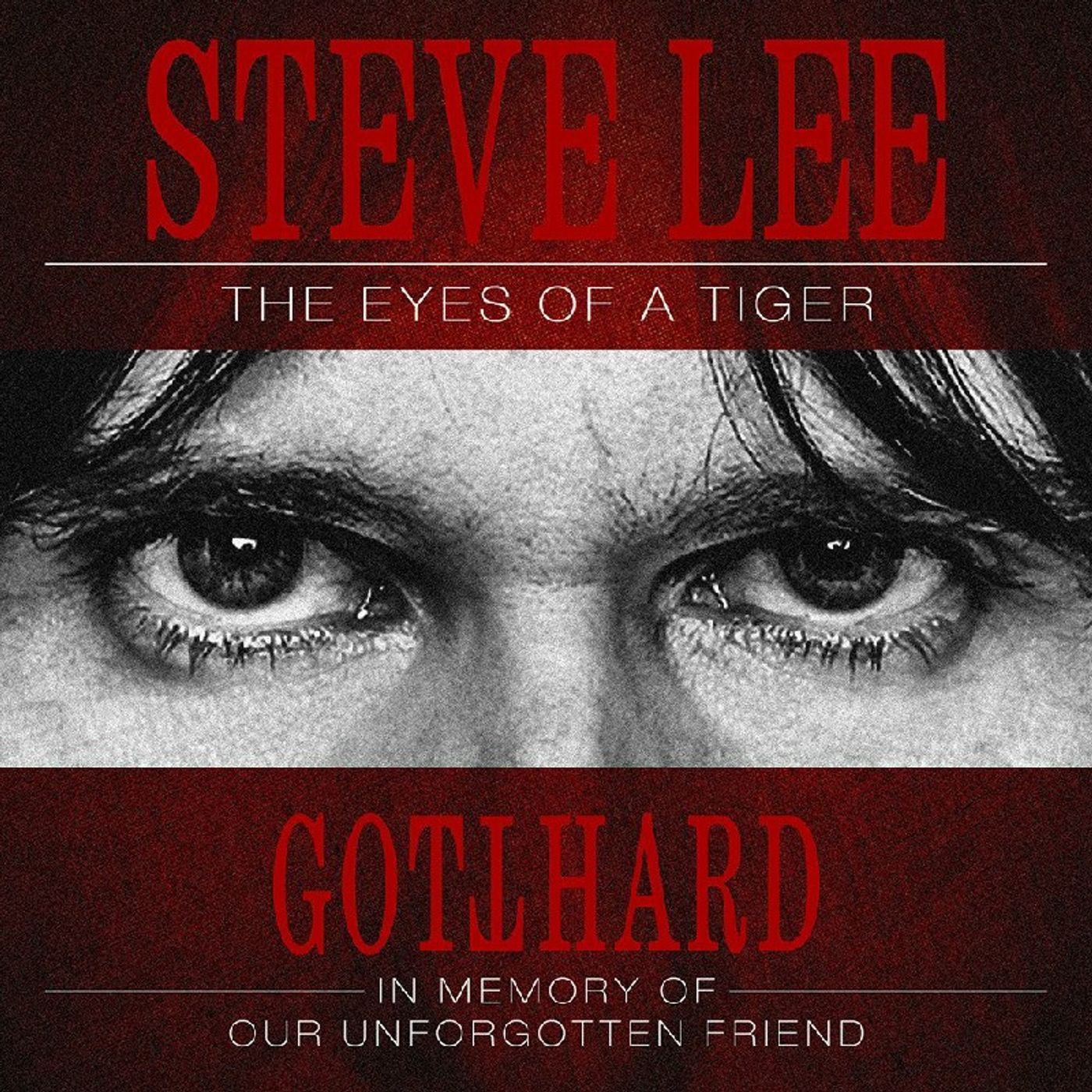STEVE LEE THE EYES OF A TIGER....10TH ANNIVERSARY OF HIS DEATH(PART 2) episode artwork