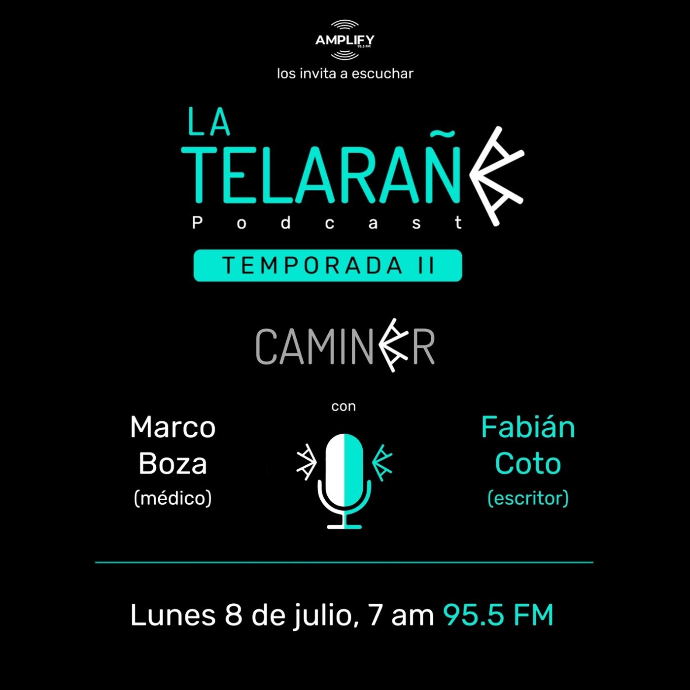 La Telaraña