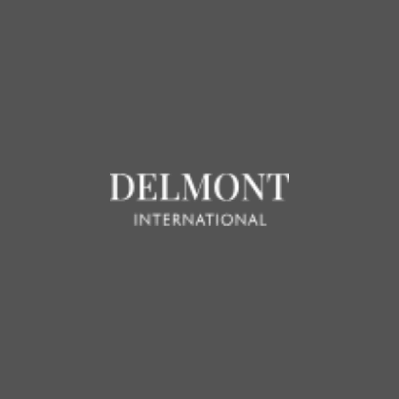 Delmont International New York – Inside