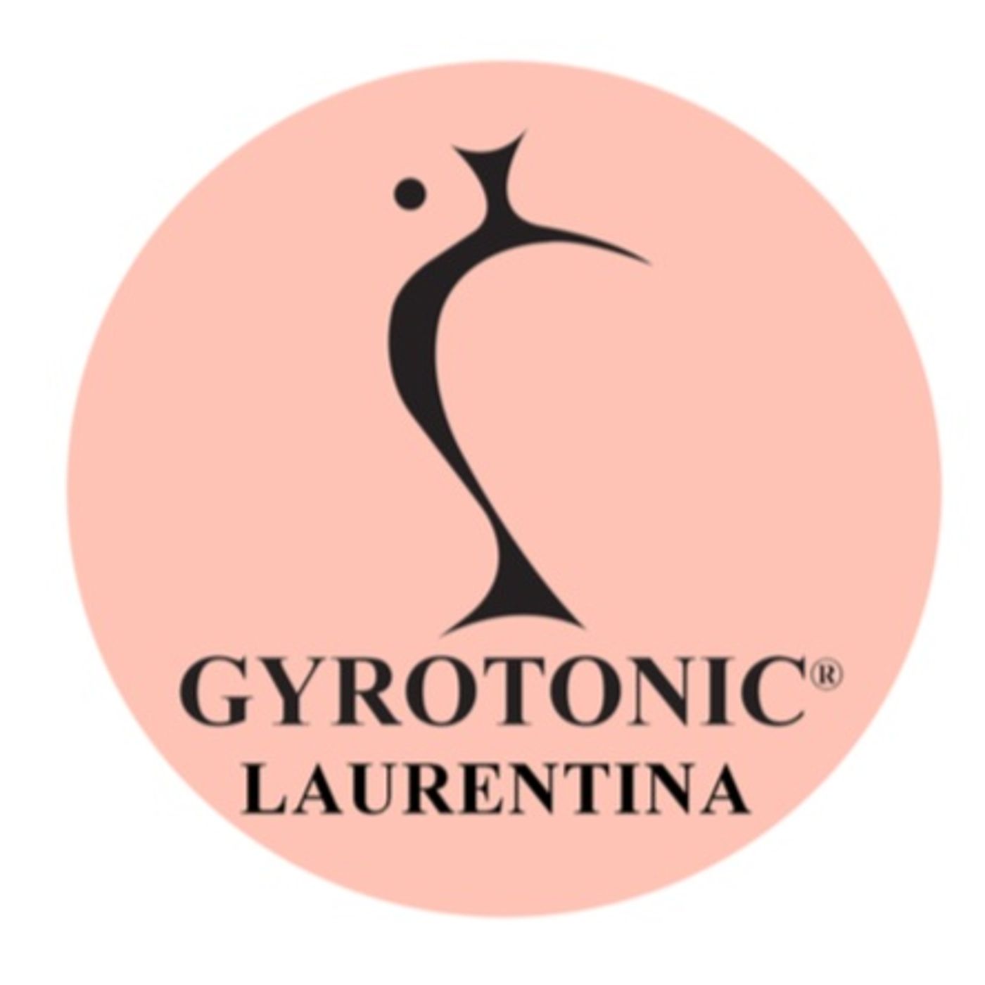 L'arte del GYROTONIC® di Alessandro Calvani