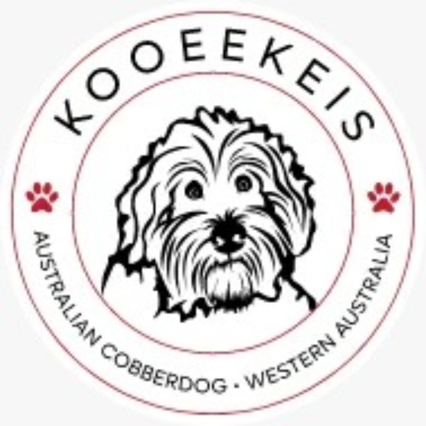 Australian Cobberdog Puppies cover art