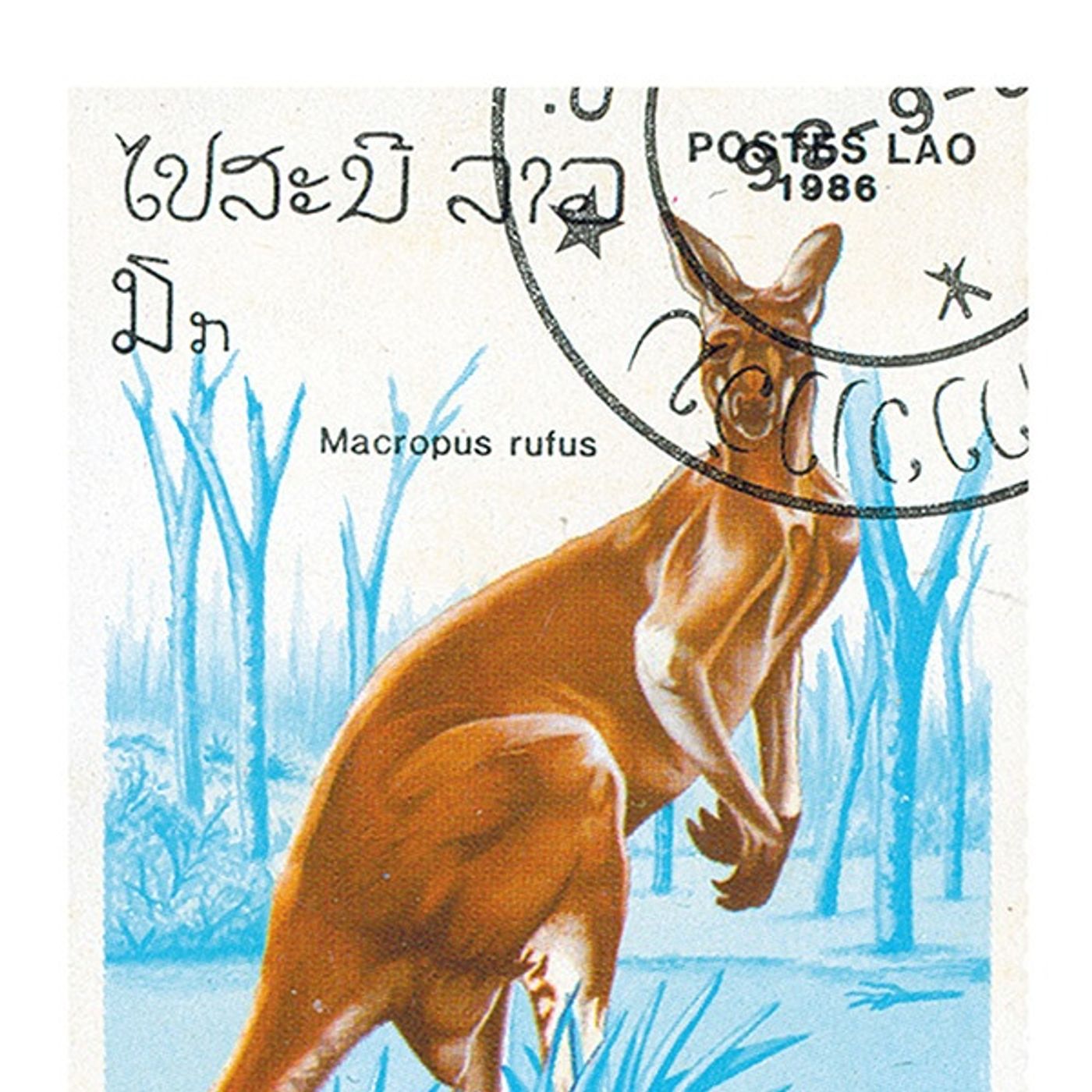 (Resumen) En las antipodas - Bill Bryson