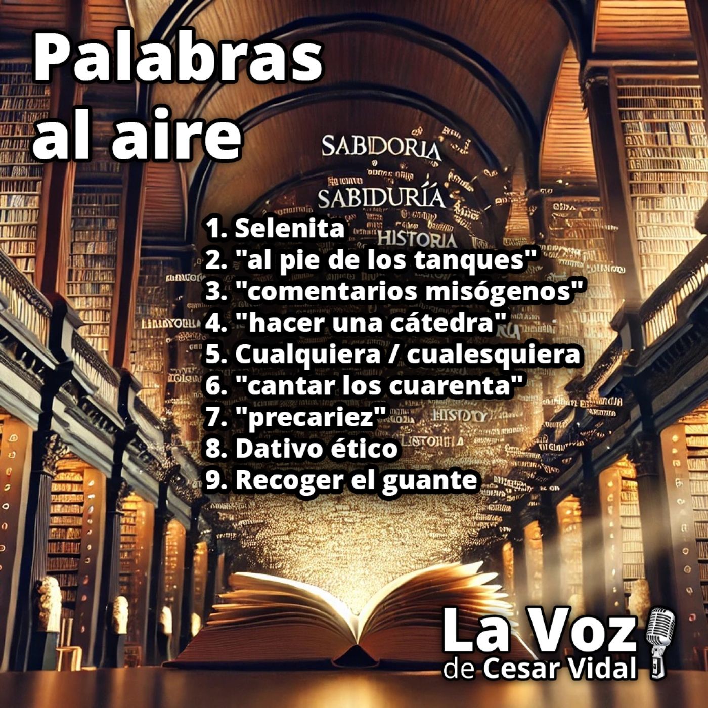 Palabras al aire - 15/12/25 episode artwork