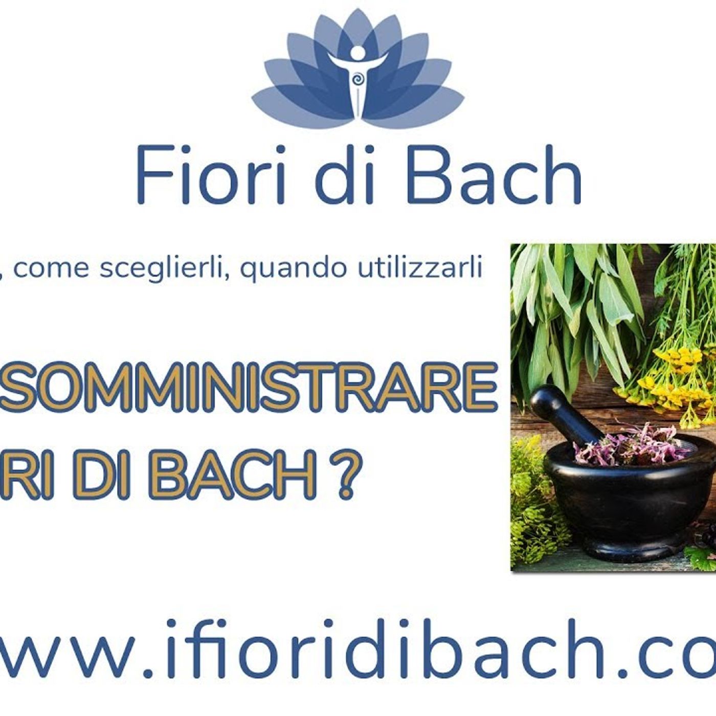 Chi può somministrare i fiori di Bach episode artwork