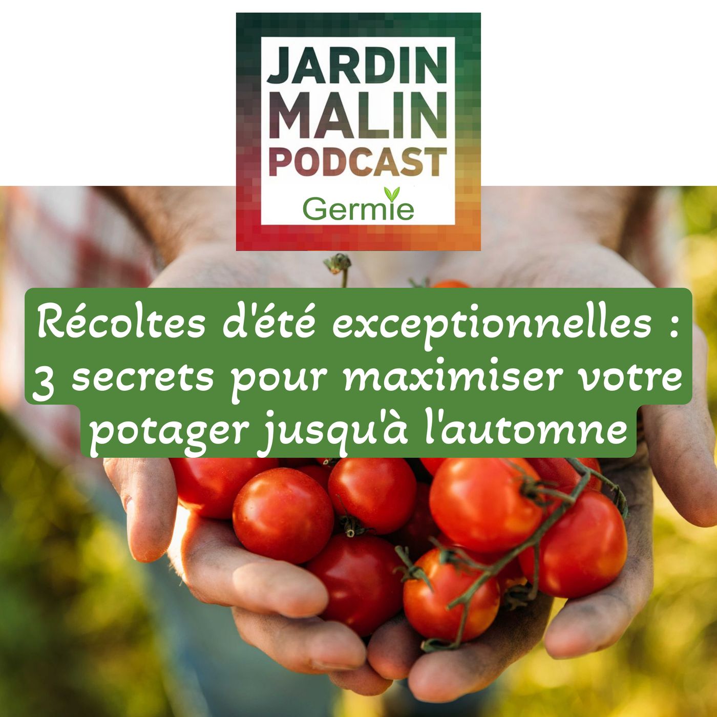 Récoltes d’été exceptionnelles : 3 secrets pour maximiser votre potager jusqu’à l’automne