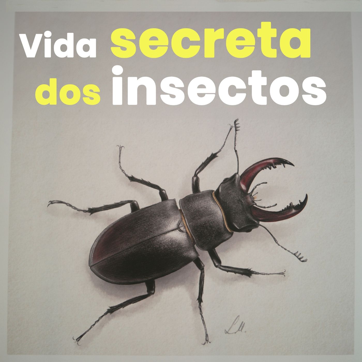 O que hai que escoitar