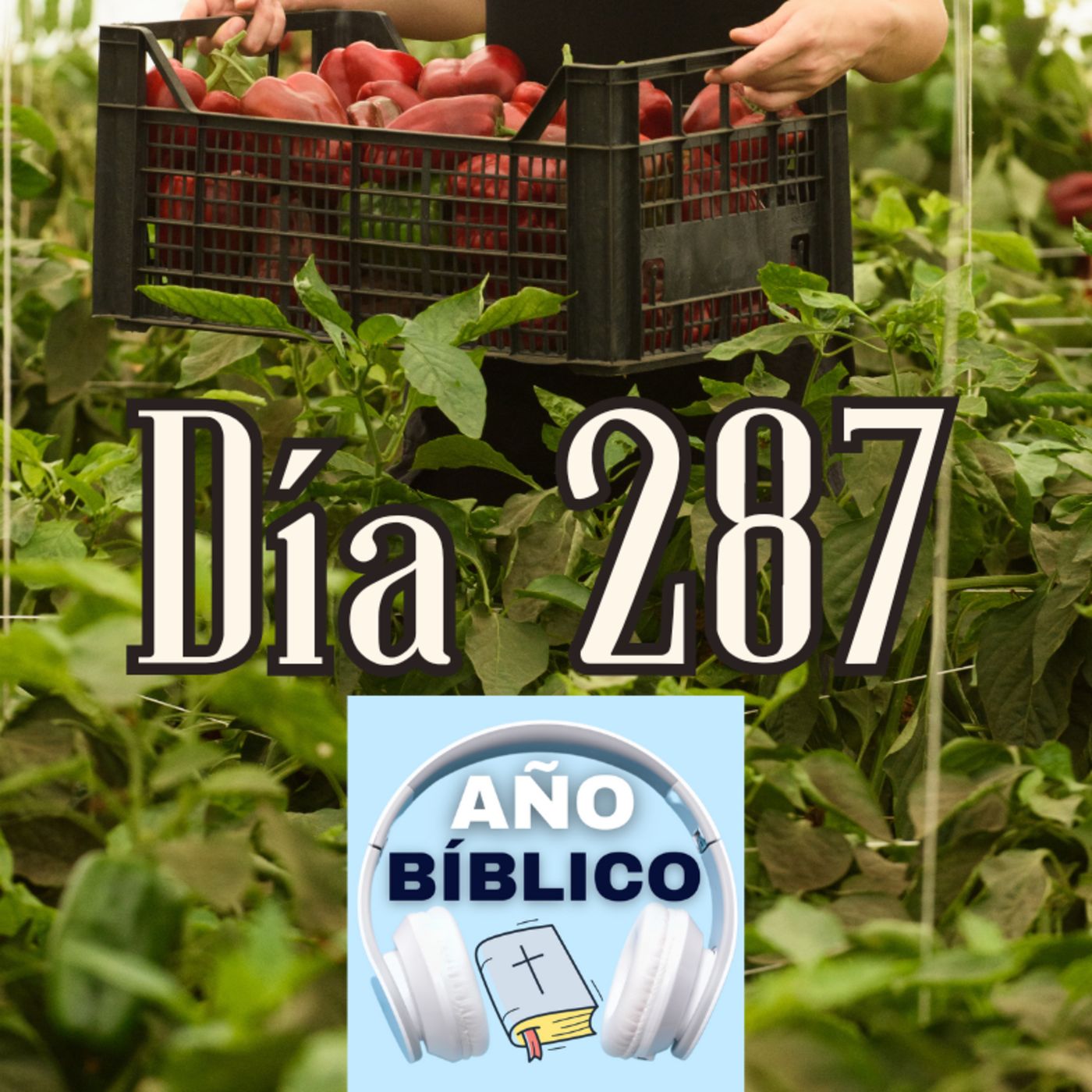 Día 287 - Salmo 115:14-18, Jeremías 32 y Filipenses 3:15-21; Filipenses 4:1-9 episode artwork