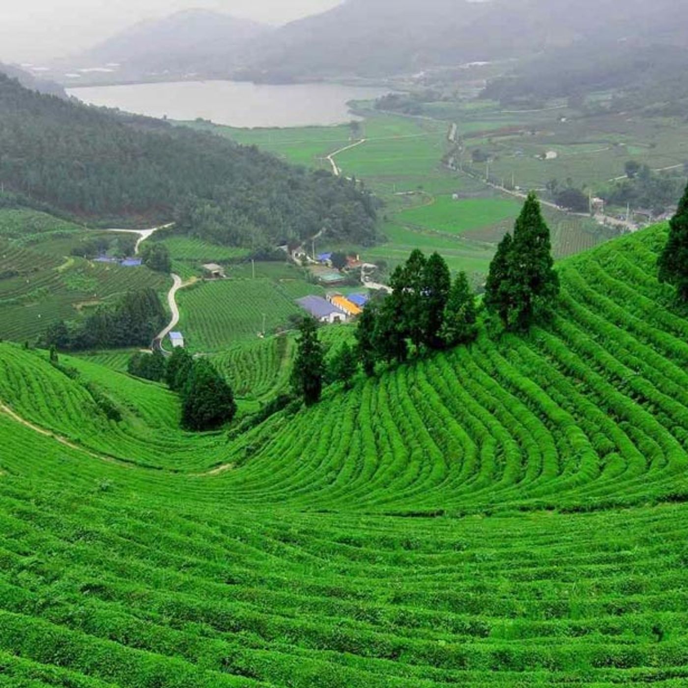 Bất động sản Đất Nền