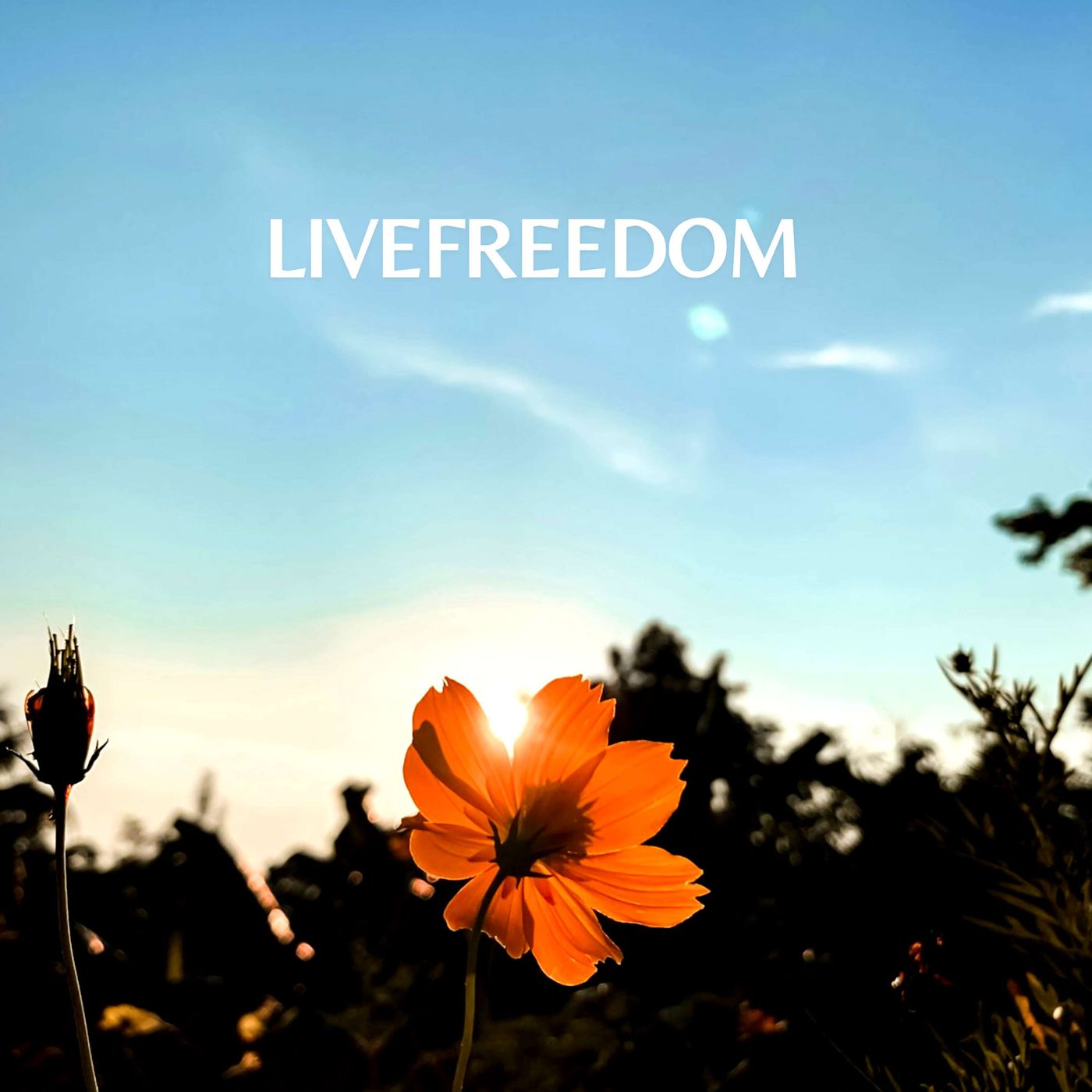 LIVEFREEDOM