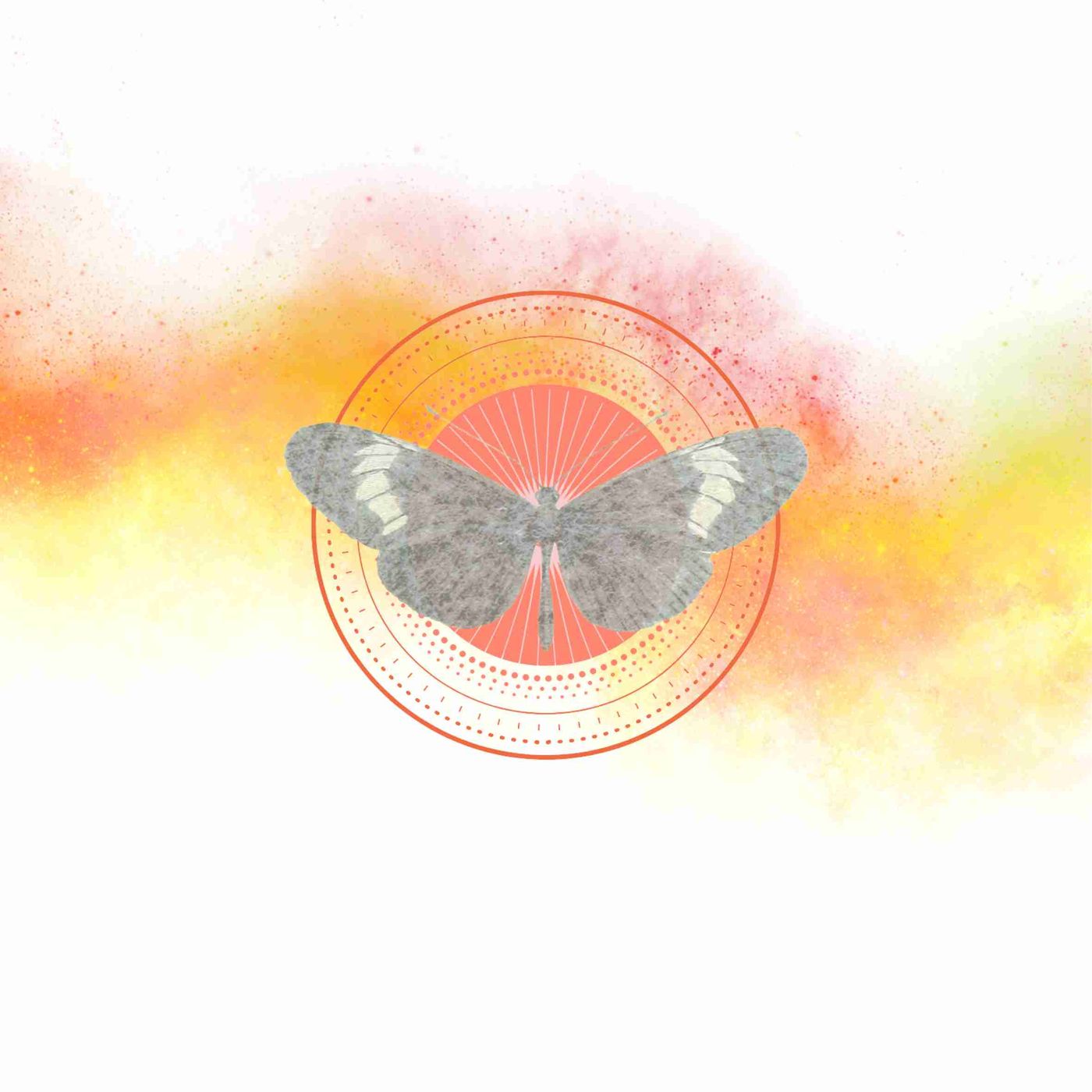 Meditações Xamânicas