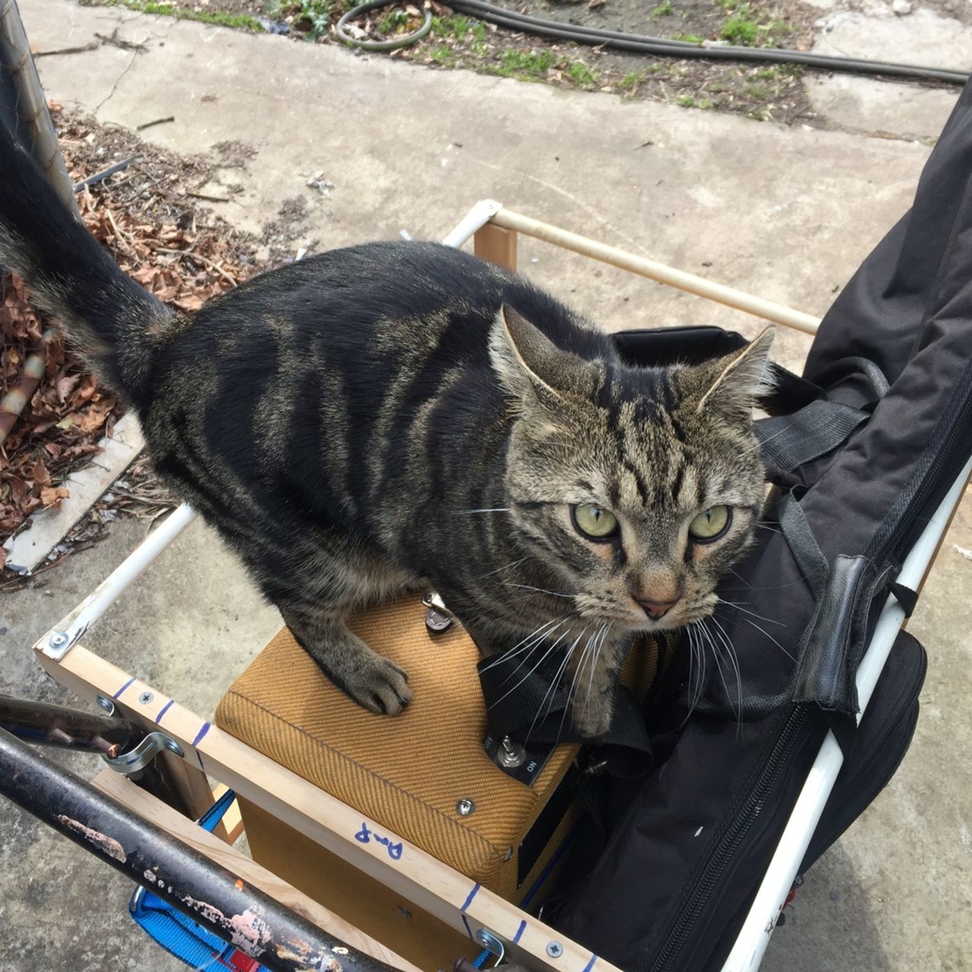 Soapbox Darby