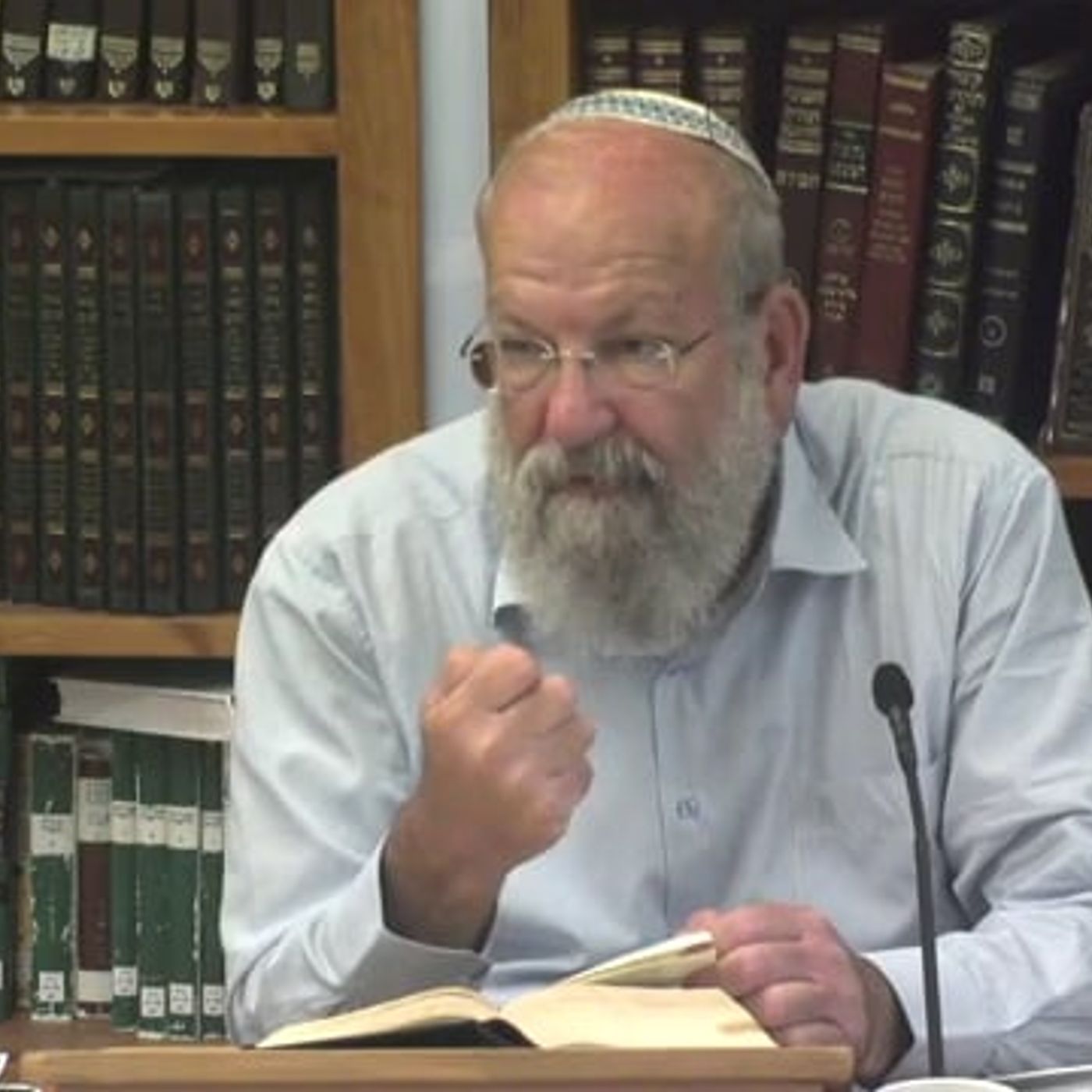 "למען תחיון וטוב לכם והארכתם ימים בארץ אשר תירשון" episode artwork