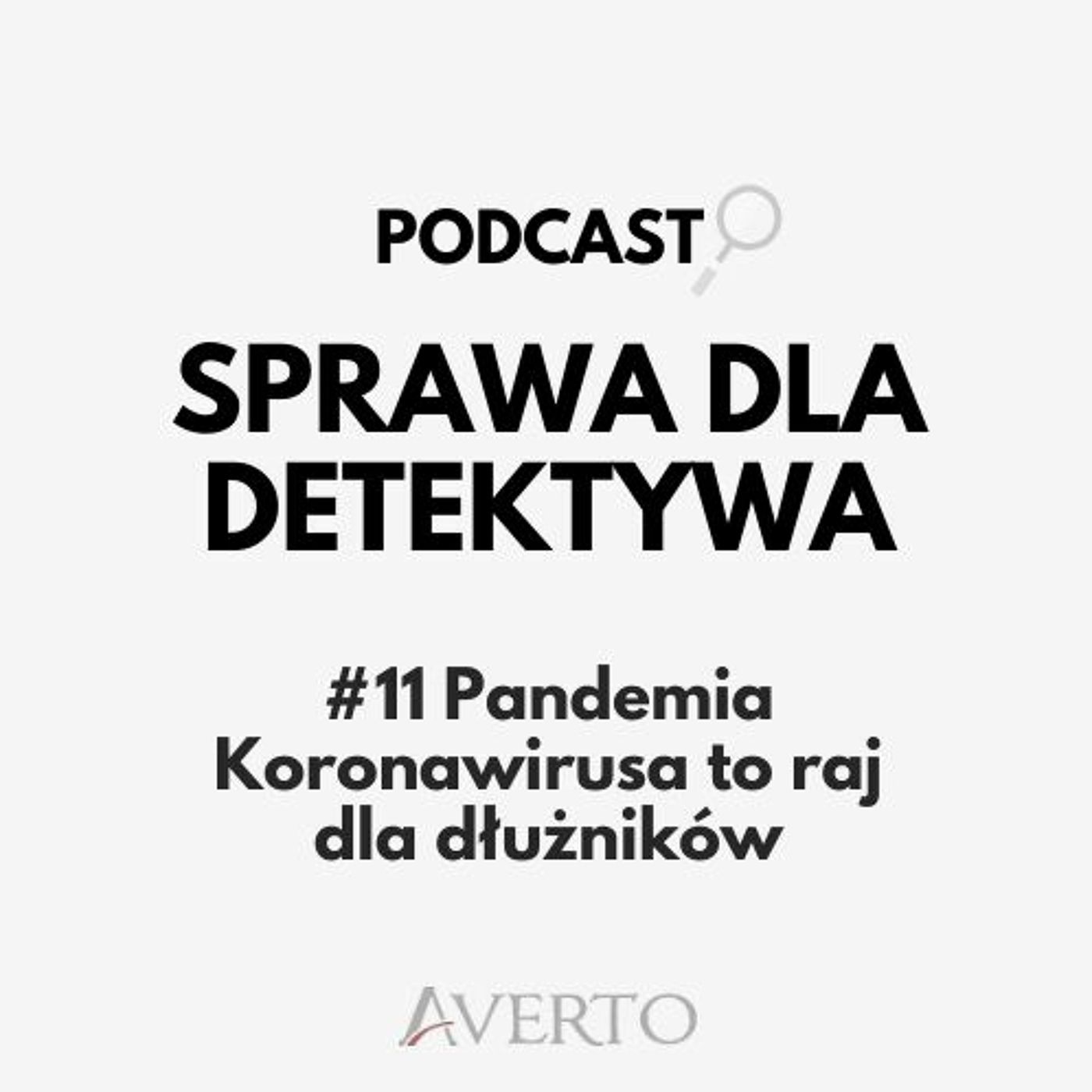 Sprawa dla detektywa