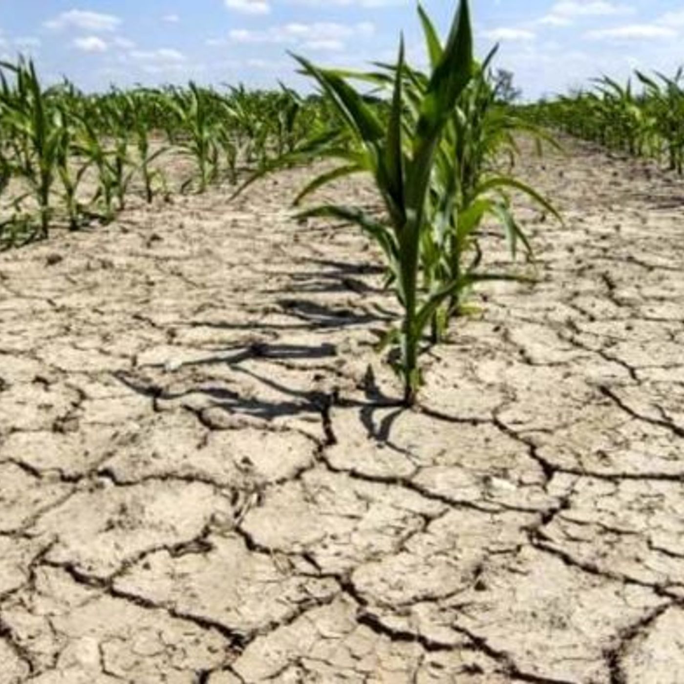Crisi idrica e cambiamenti climatici, la Regione Veneto istituisce una task force episode artwork