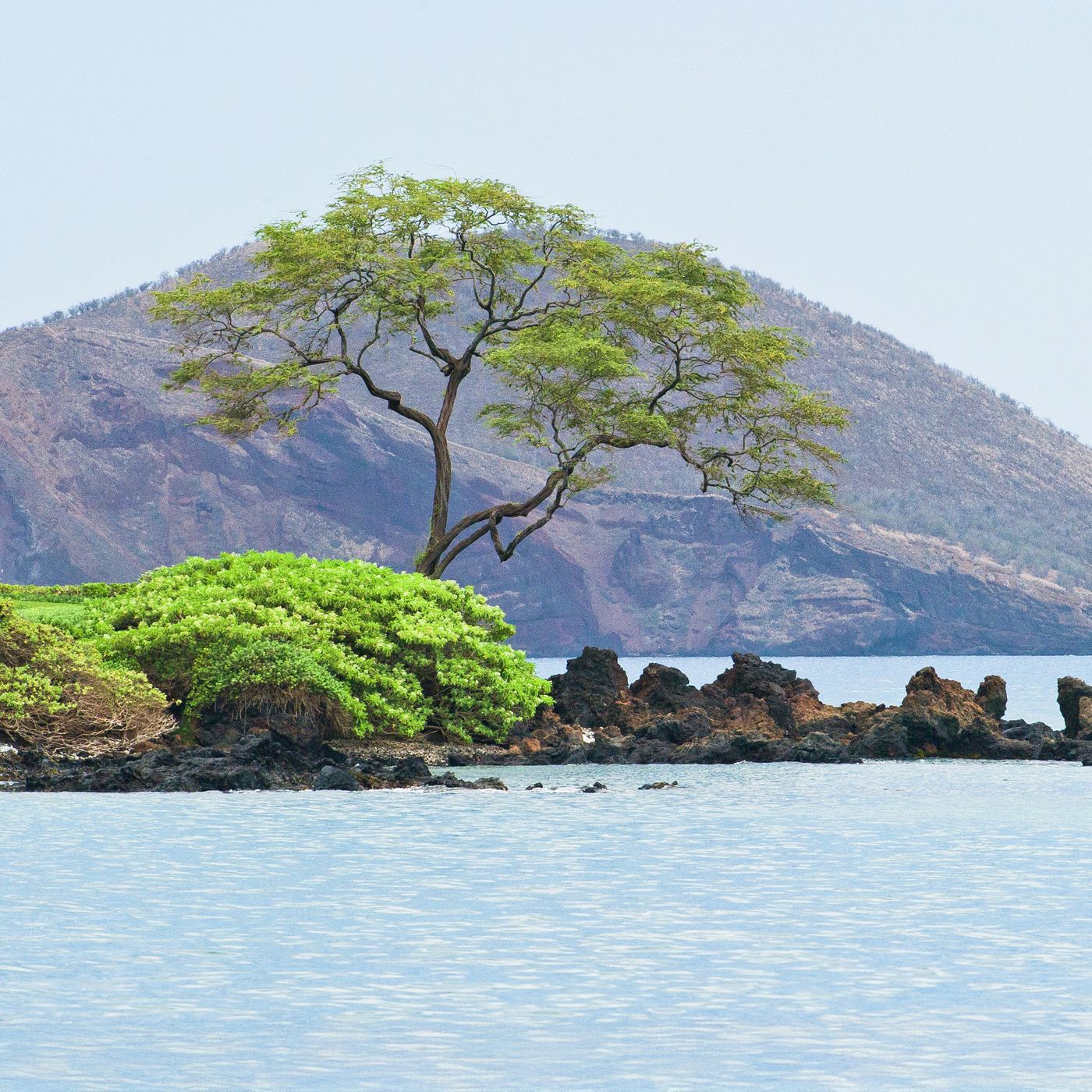 Meditaciones Diarias