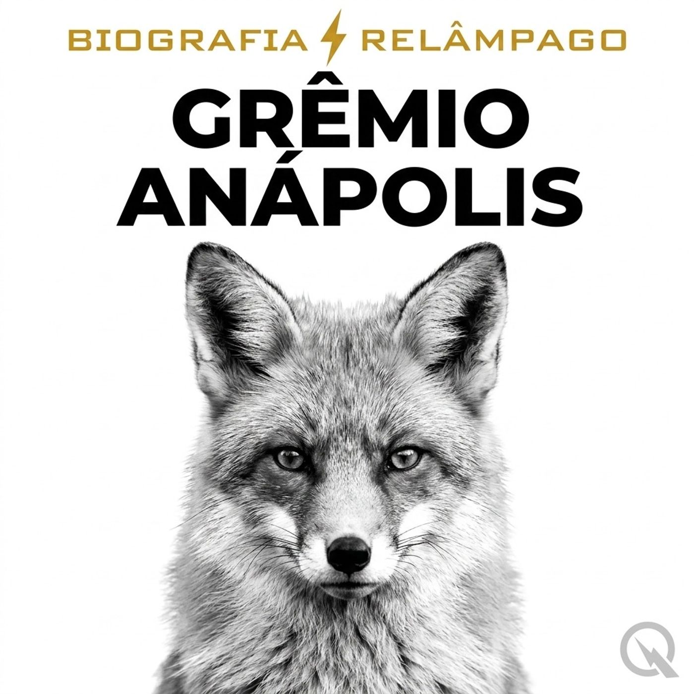 Grêmio Anápolis - Biografia Relâmpago