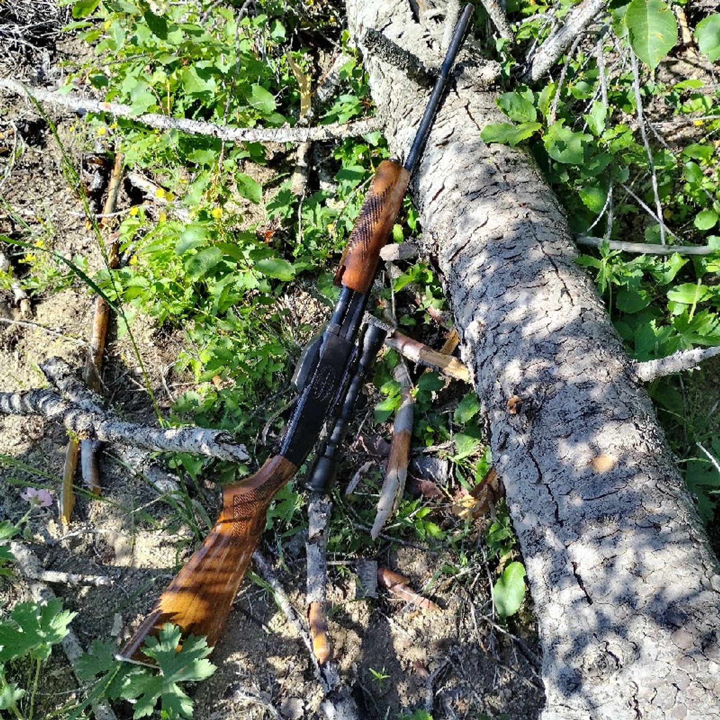 Remington and Winchester's Other Rifles episode artwork