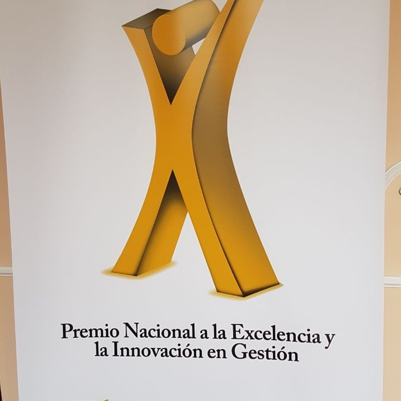 Premio Nacional a la Excelencia y la Innovación en gestión episode artwork