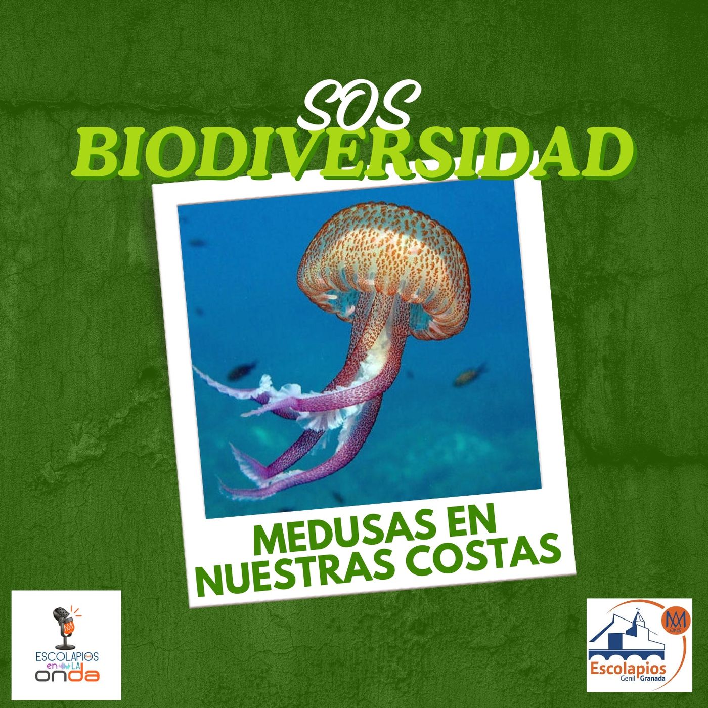 ConCiencia verde