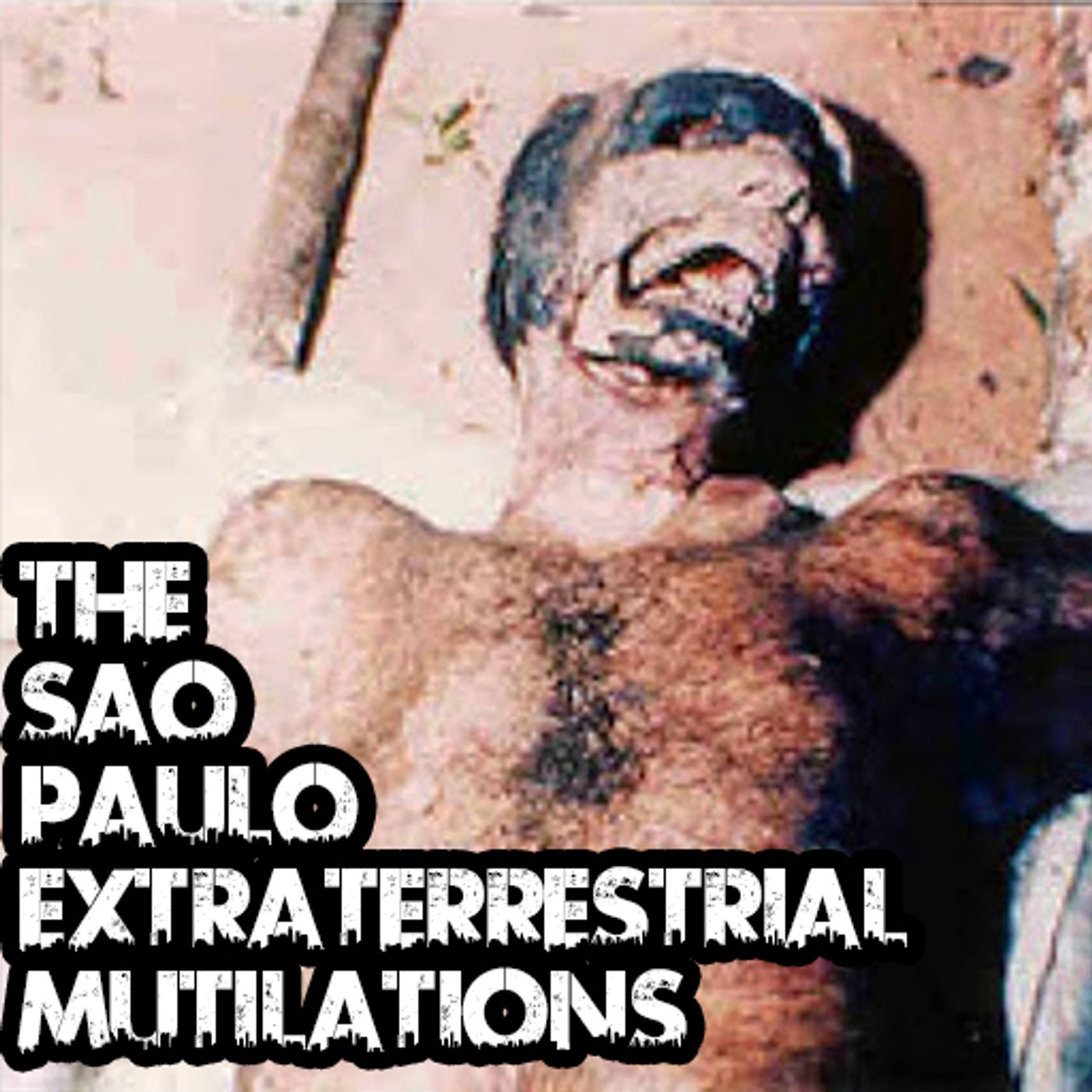 The Sao Paulo Extraterrestrial Mutilations artwork