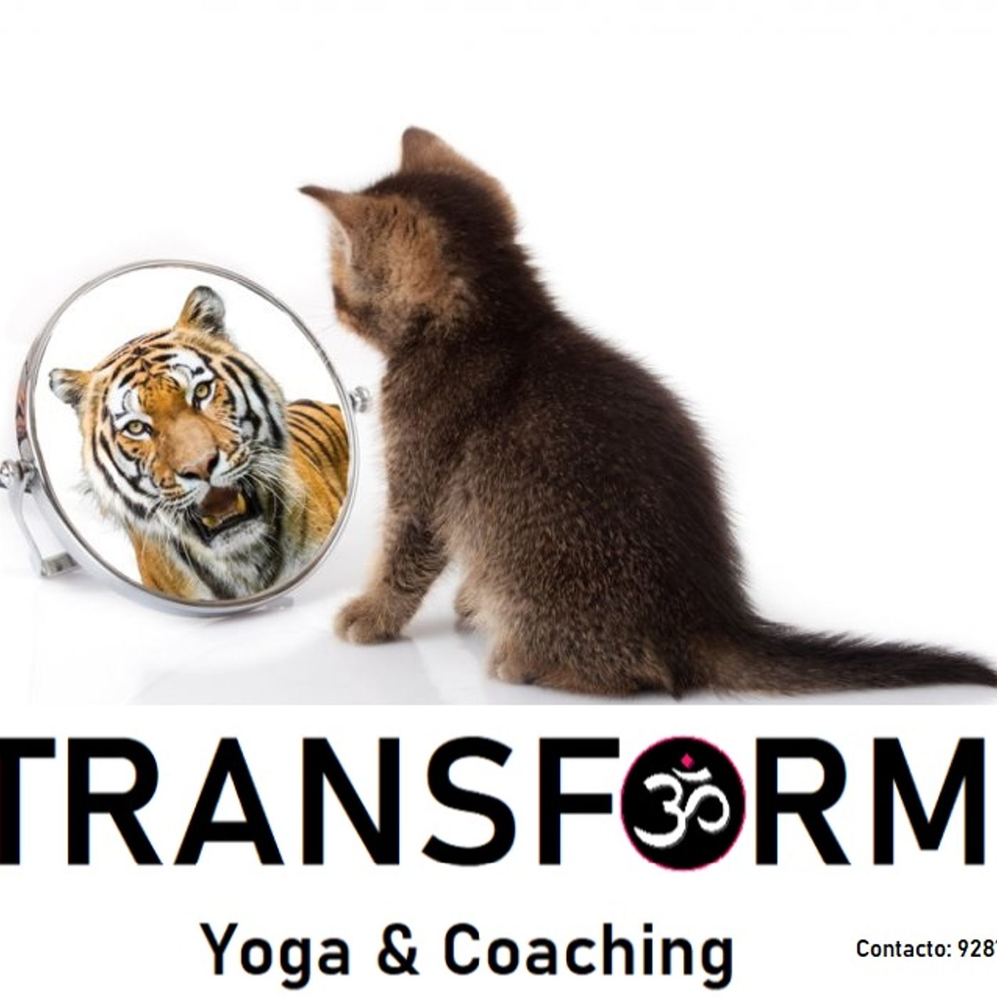Transform You 20022022