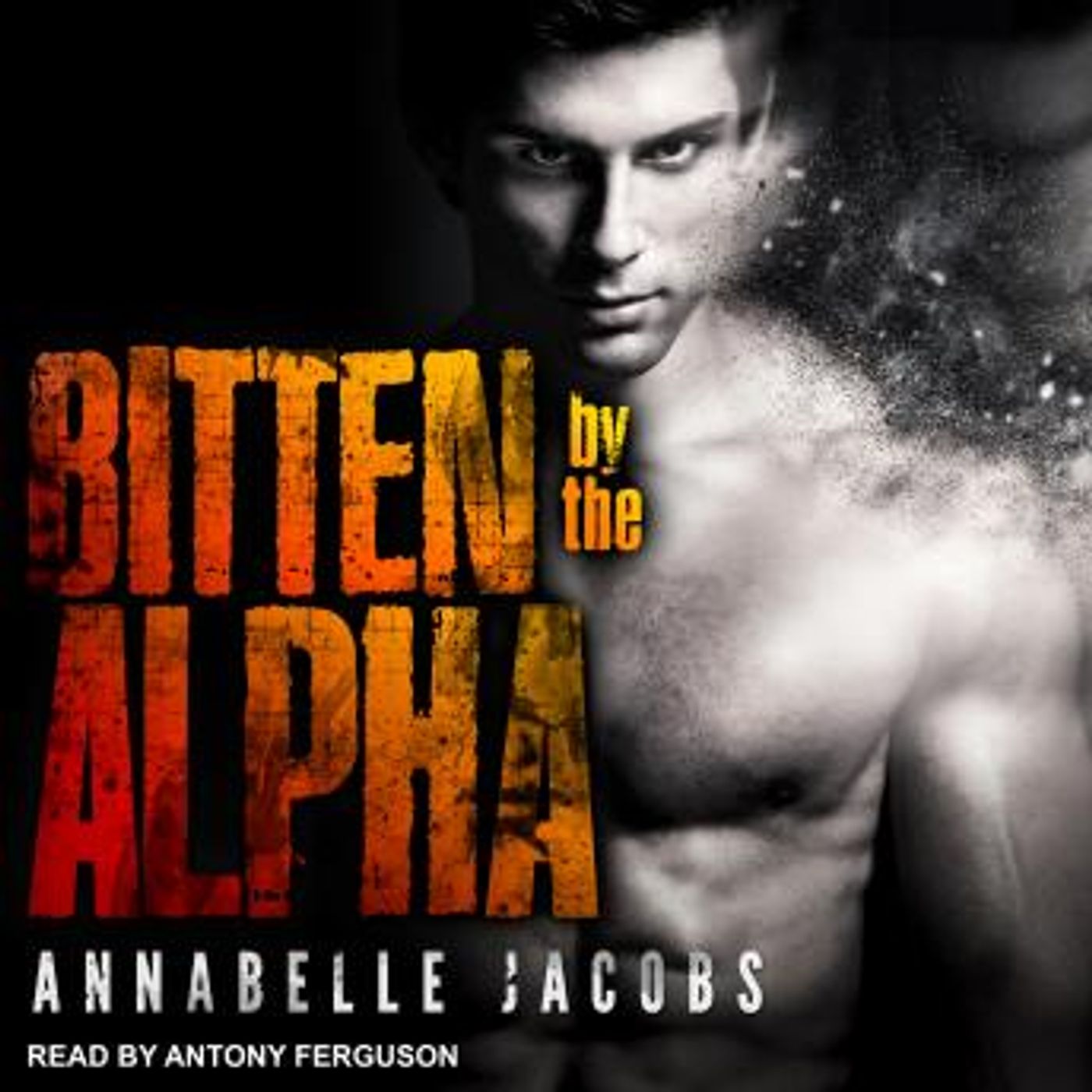 Discover the Best Audio Stories in Romance, LGBTQ+