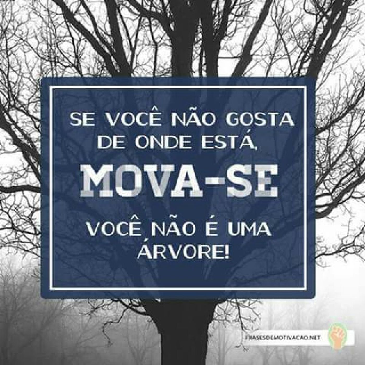 Foco Noticias\'s show