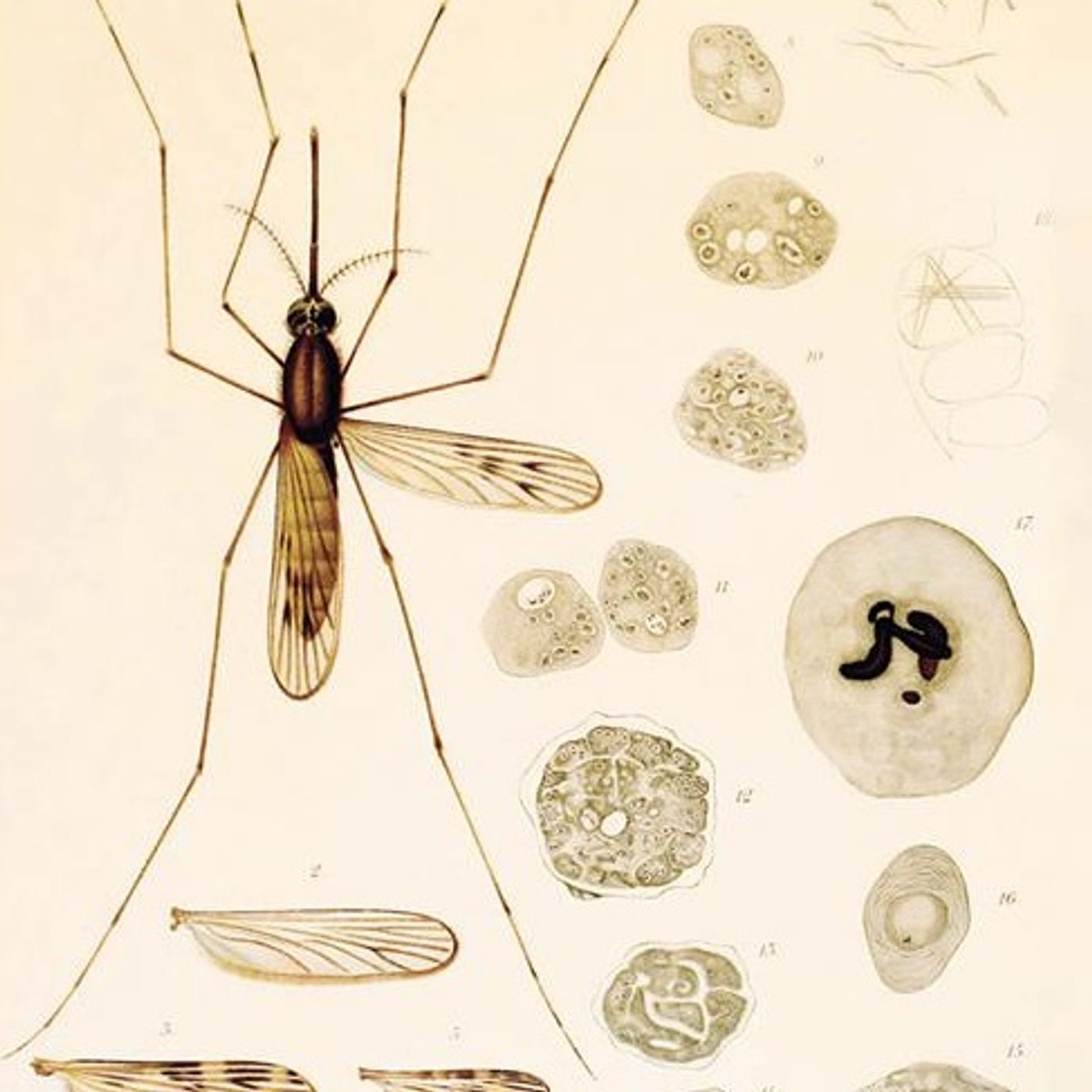 il posto delle parole