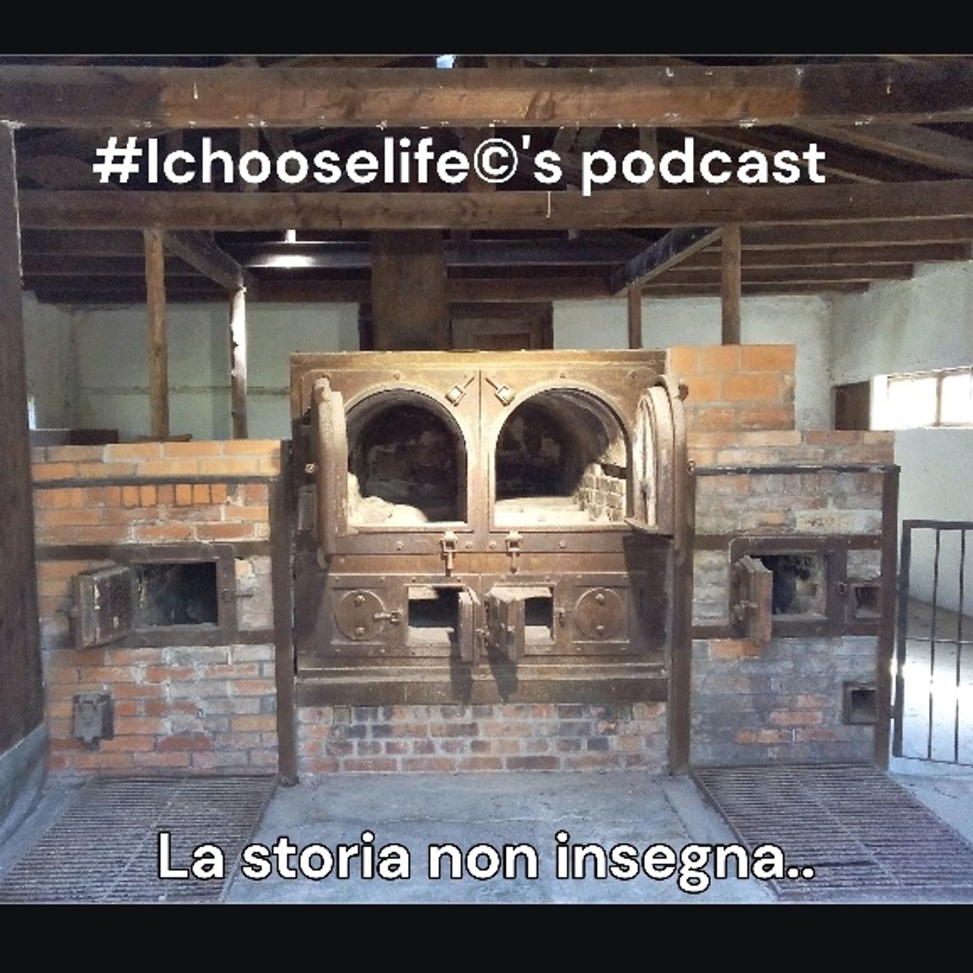 Giornata della memoria, la storia non insegna