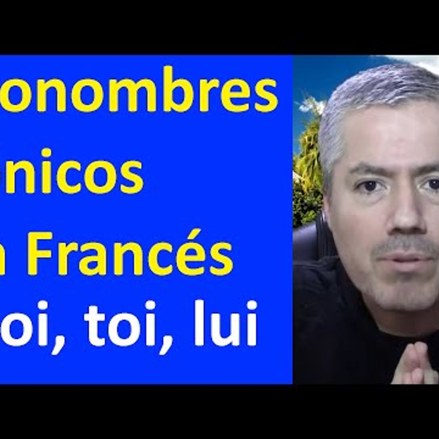 36. PRONOMBRES TÓNICOS EN FRANCÉS MOI, TOI, LUI, EUX Curso Francés Básico Clase 34