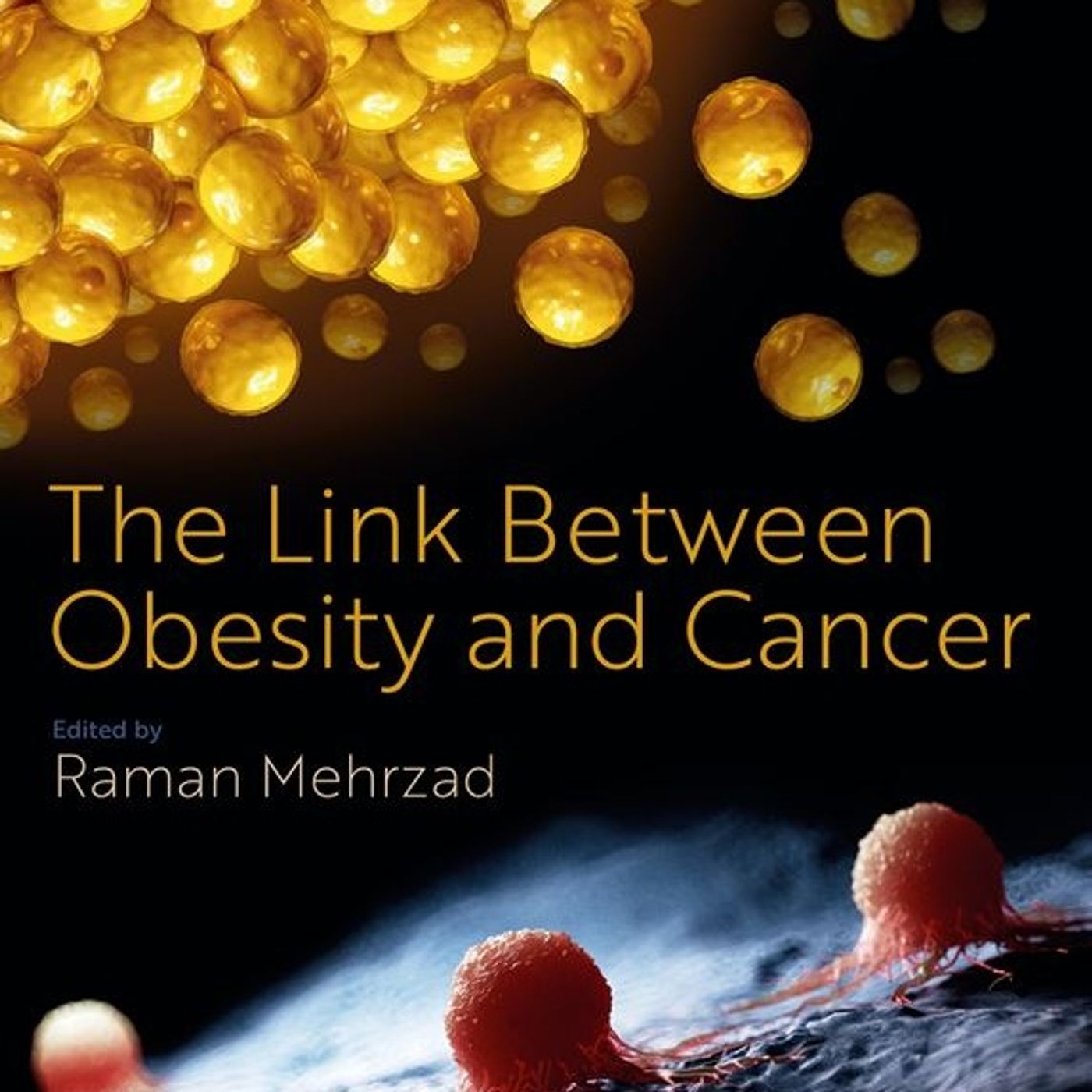 The Link Between Obesity and Cancer